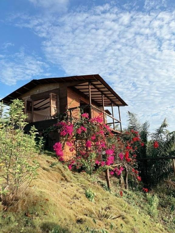 La Casita del Bosque