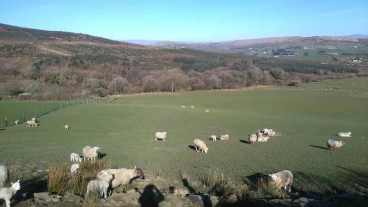 other