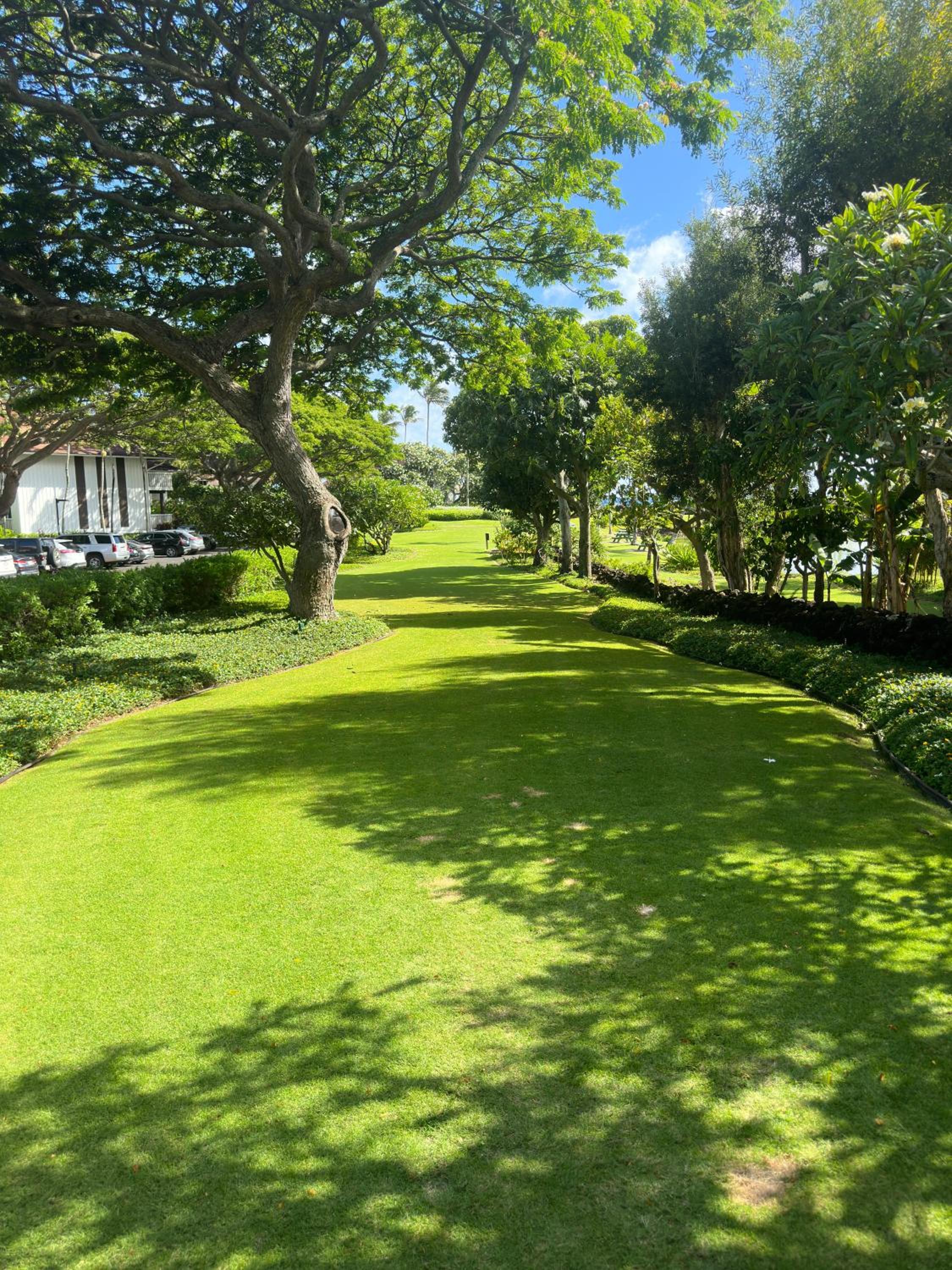 Kiahuna Paradise at Poipu beach, newly remodeled view 5