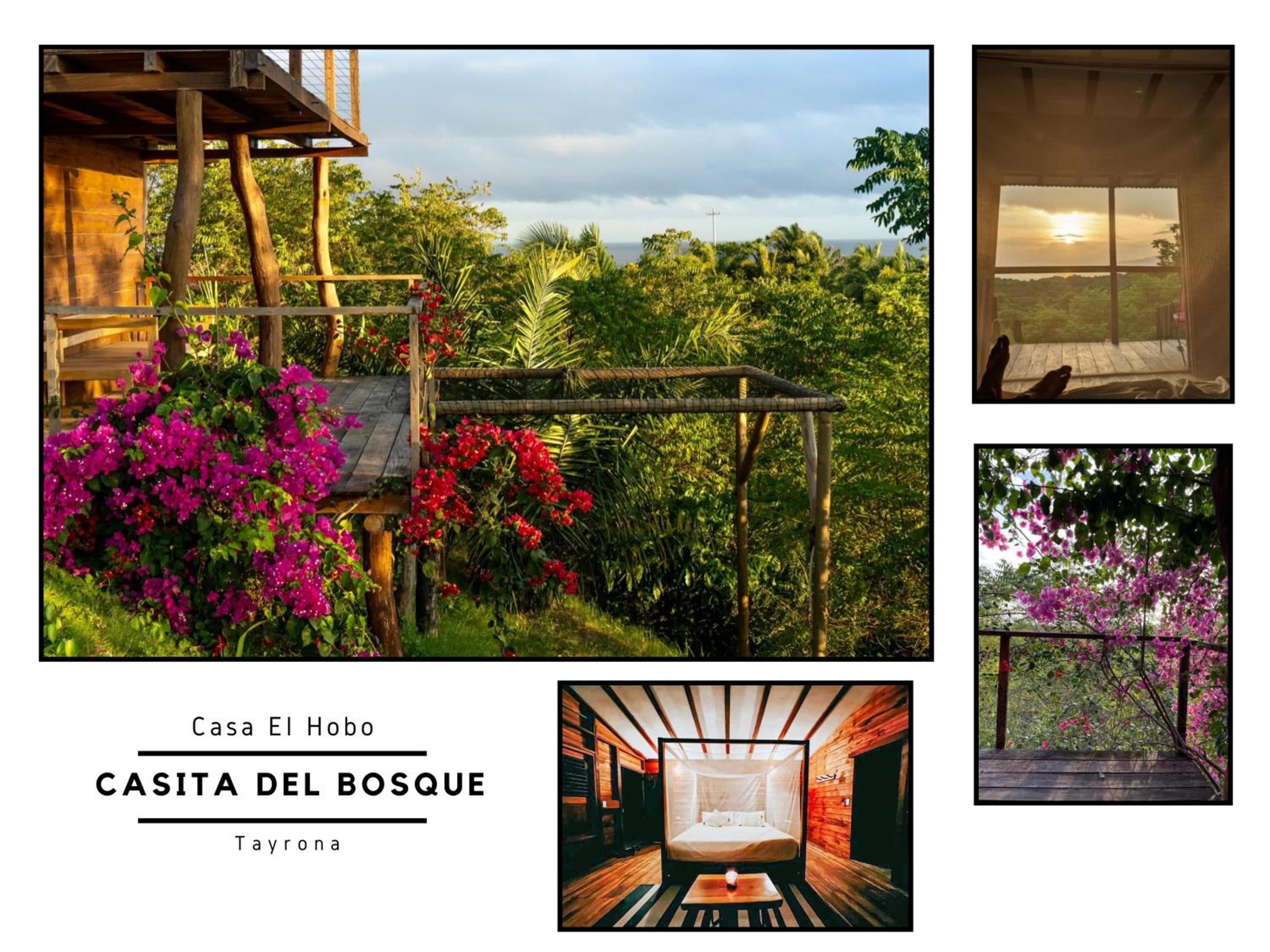 La Casita del Bosque