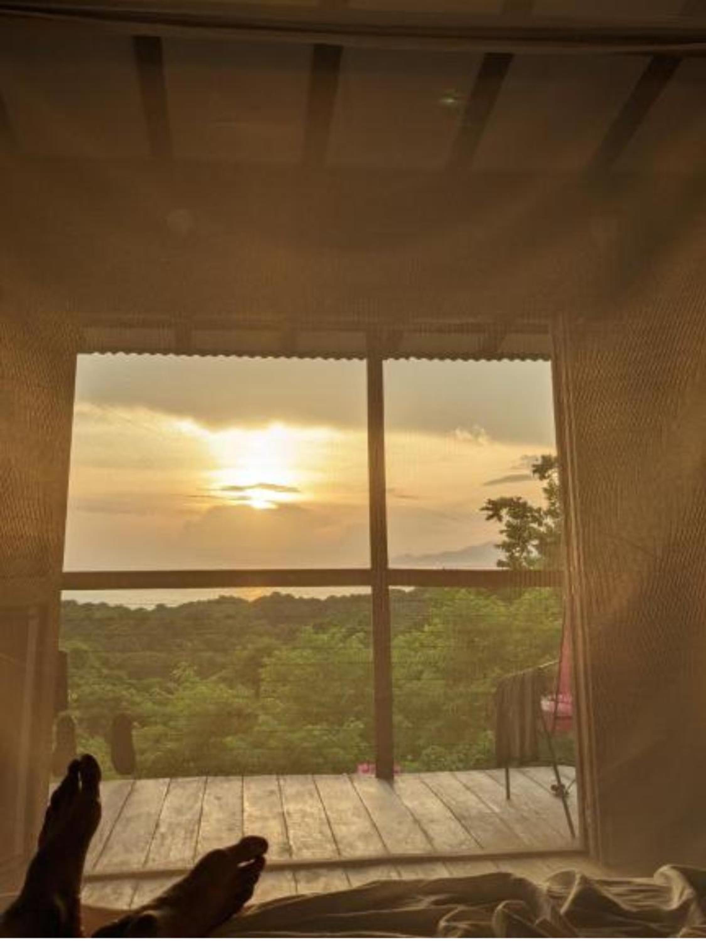 La Casita del Bosque