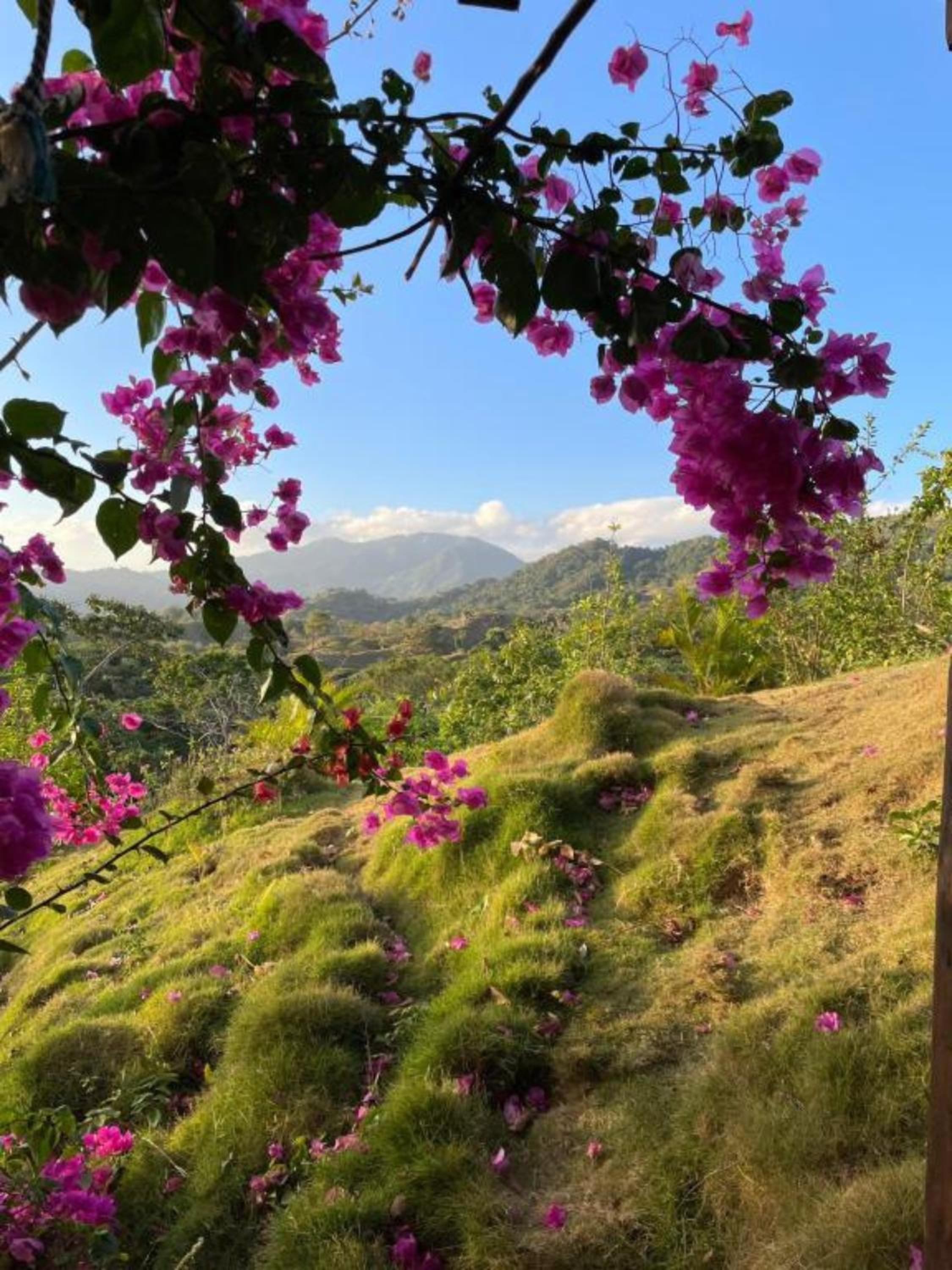 La Casita del Bosque