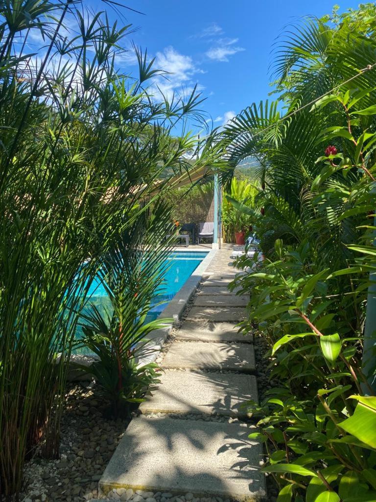 Beautiful studio-apartment near the beach