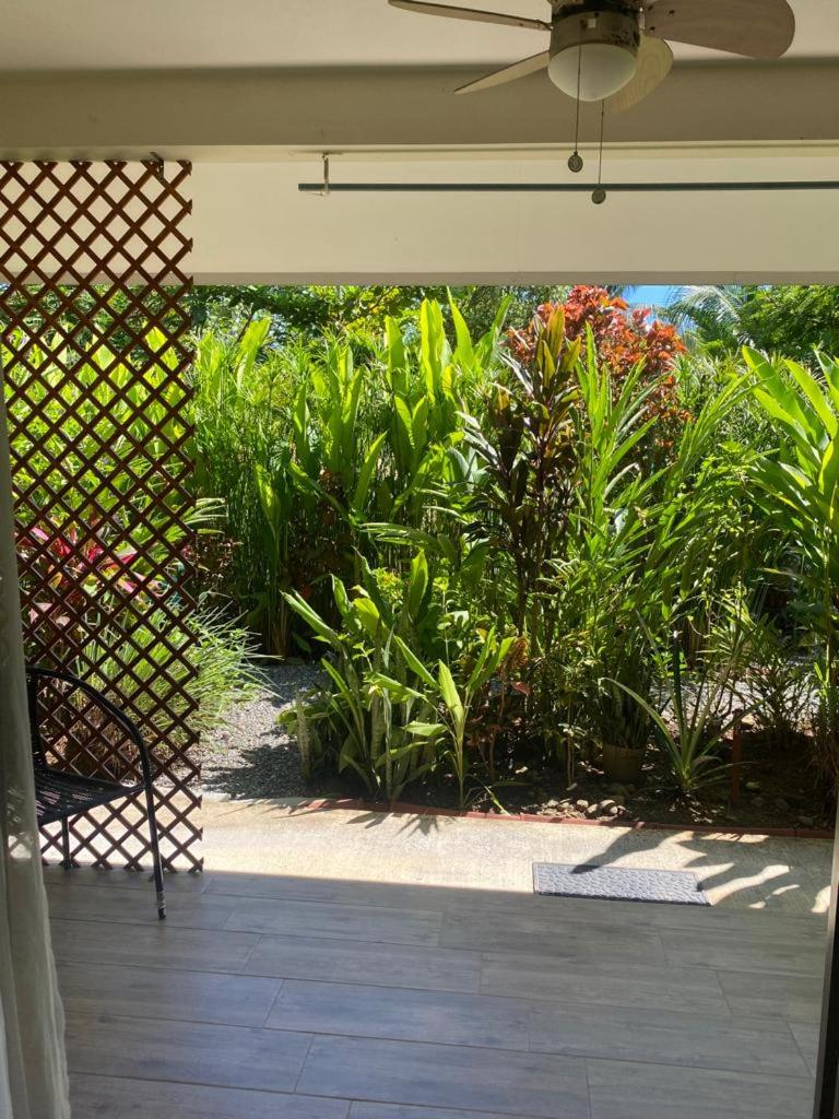 Beautiful studio-apartment near the beach