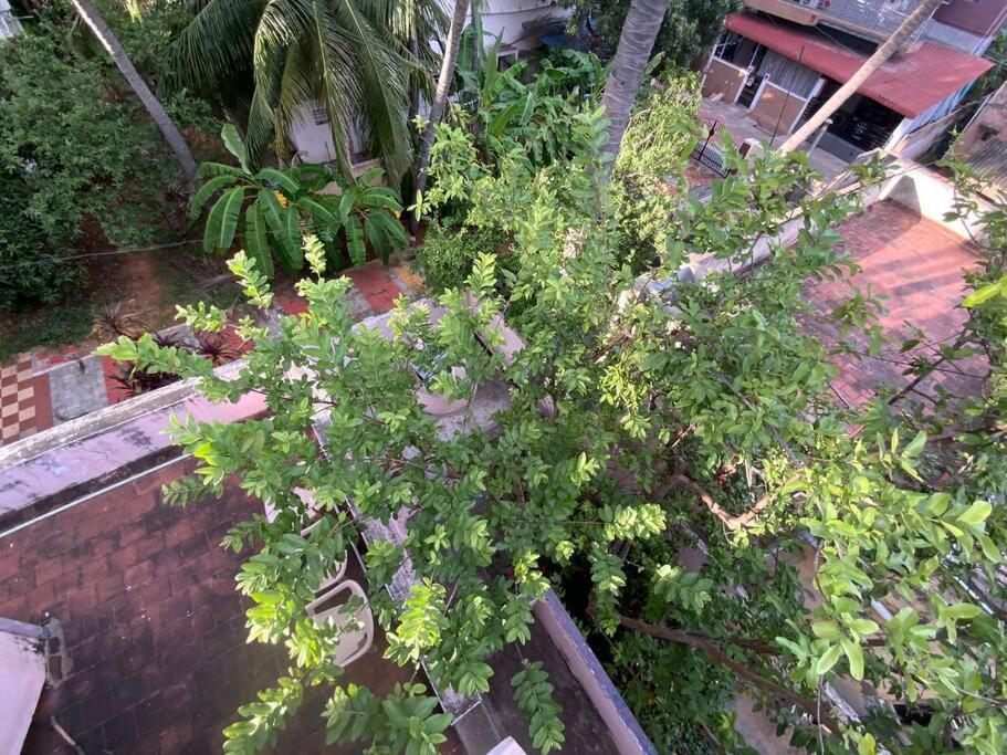 Photo 23