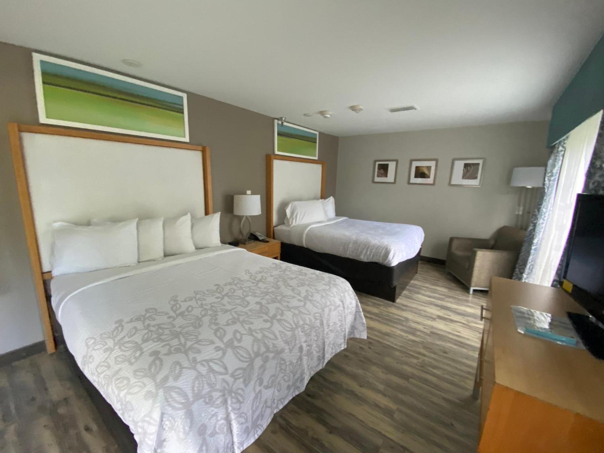 Red Roof Inn PLUS & Suites Tampa - Busch Gardens, Photo 13