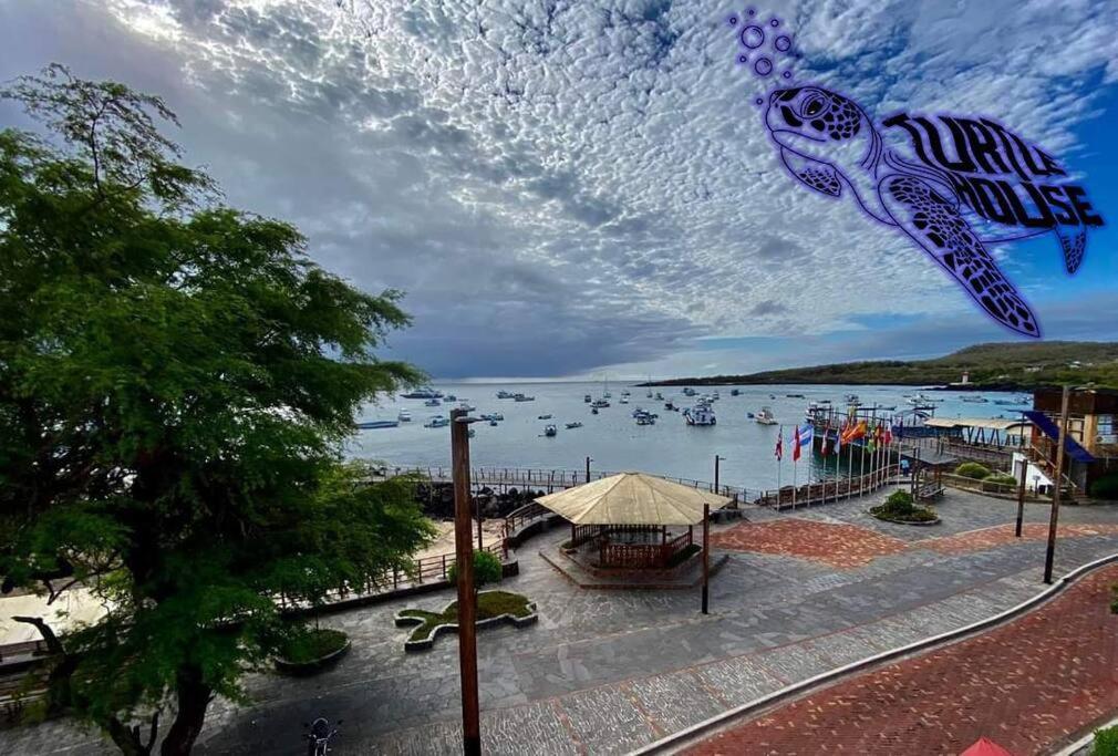 Tortuga House