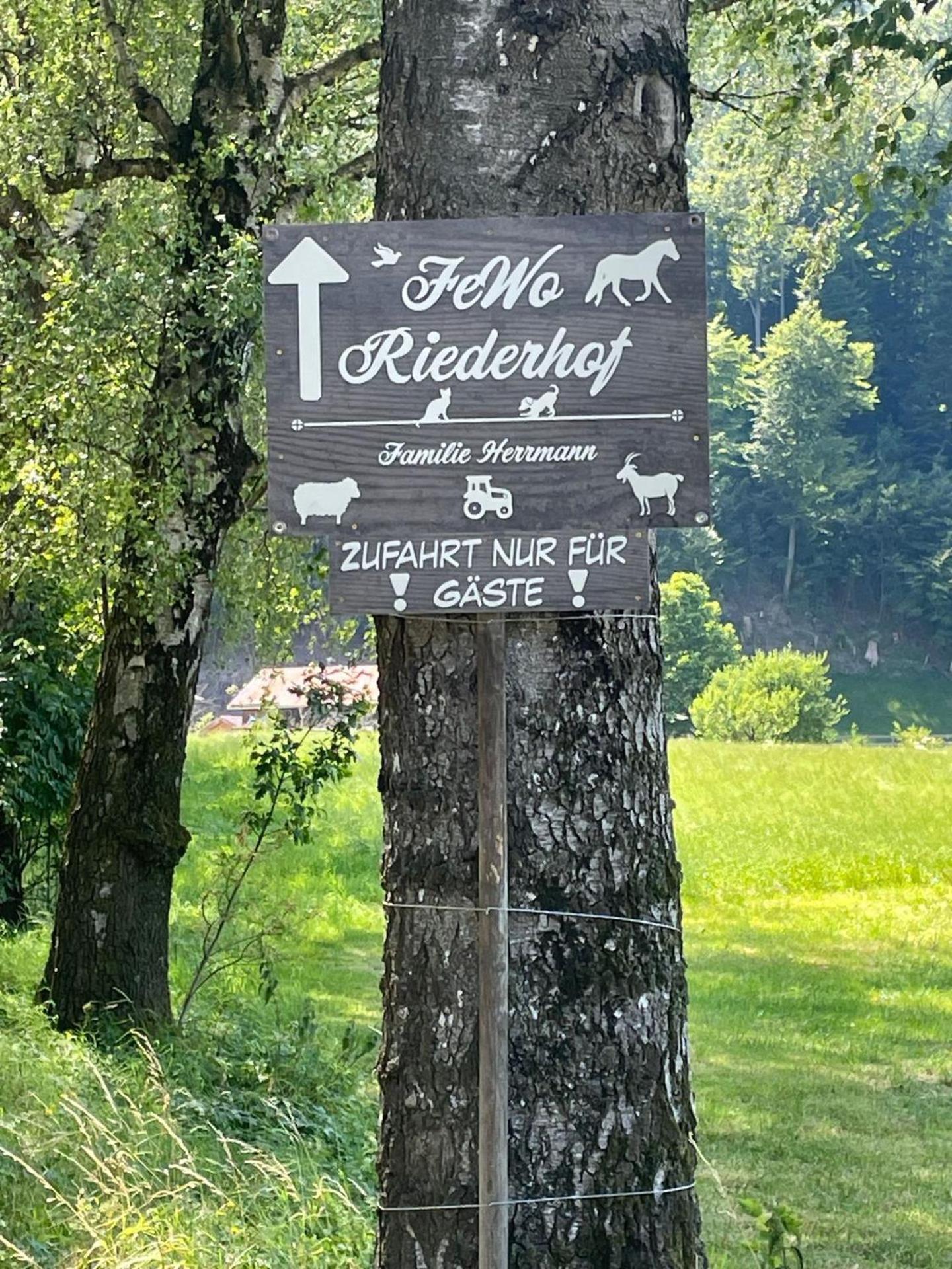 Riederhof
