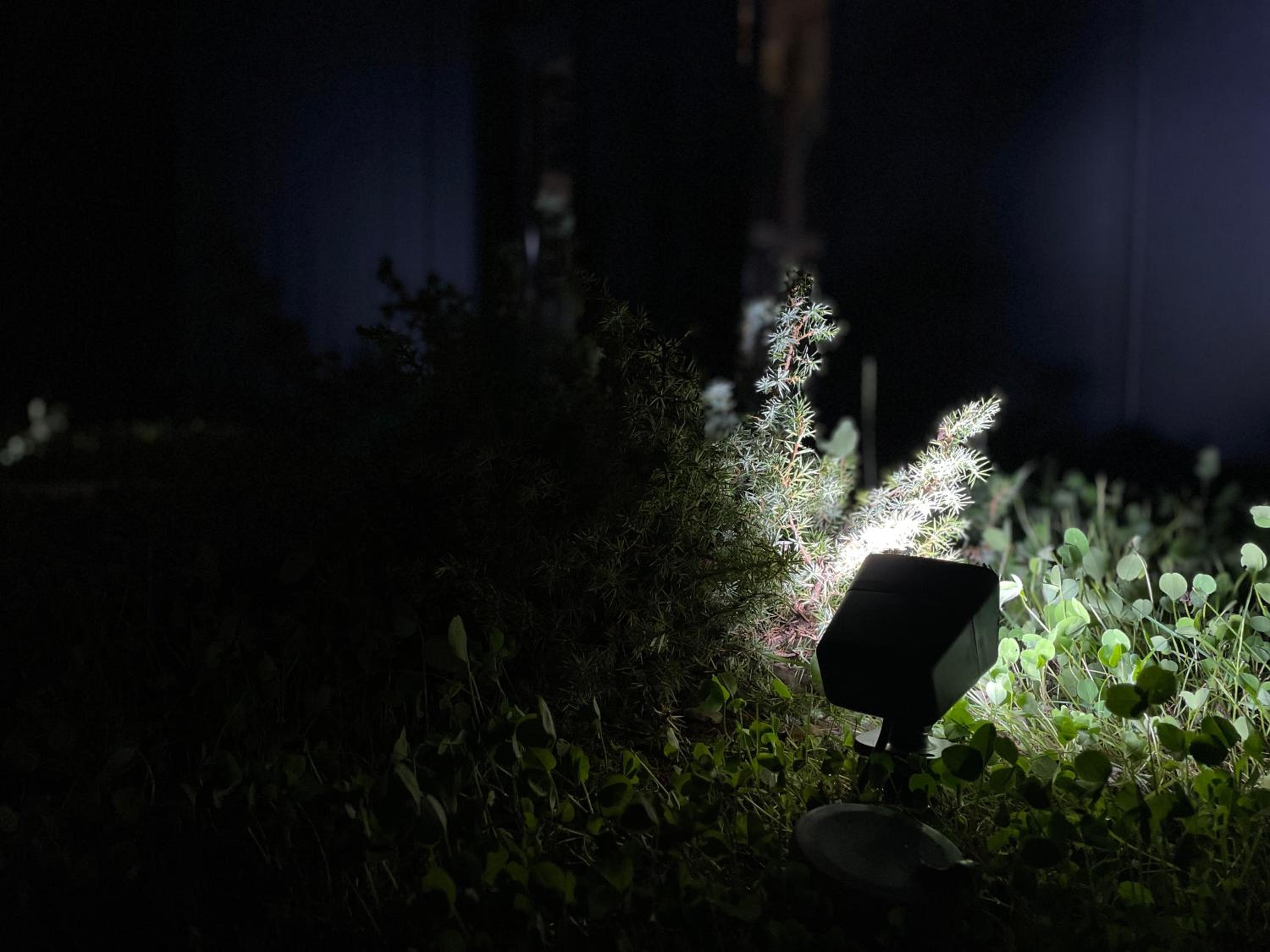 Photo 42