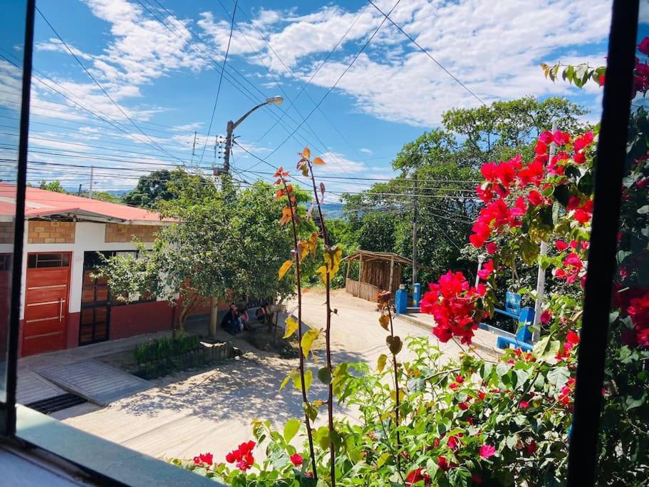 Departamento acogedor listo para disfrutar view 3
