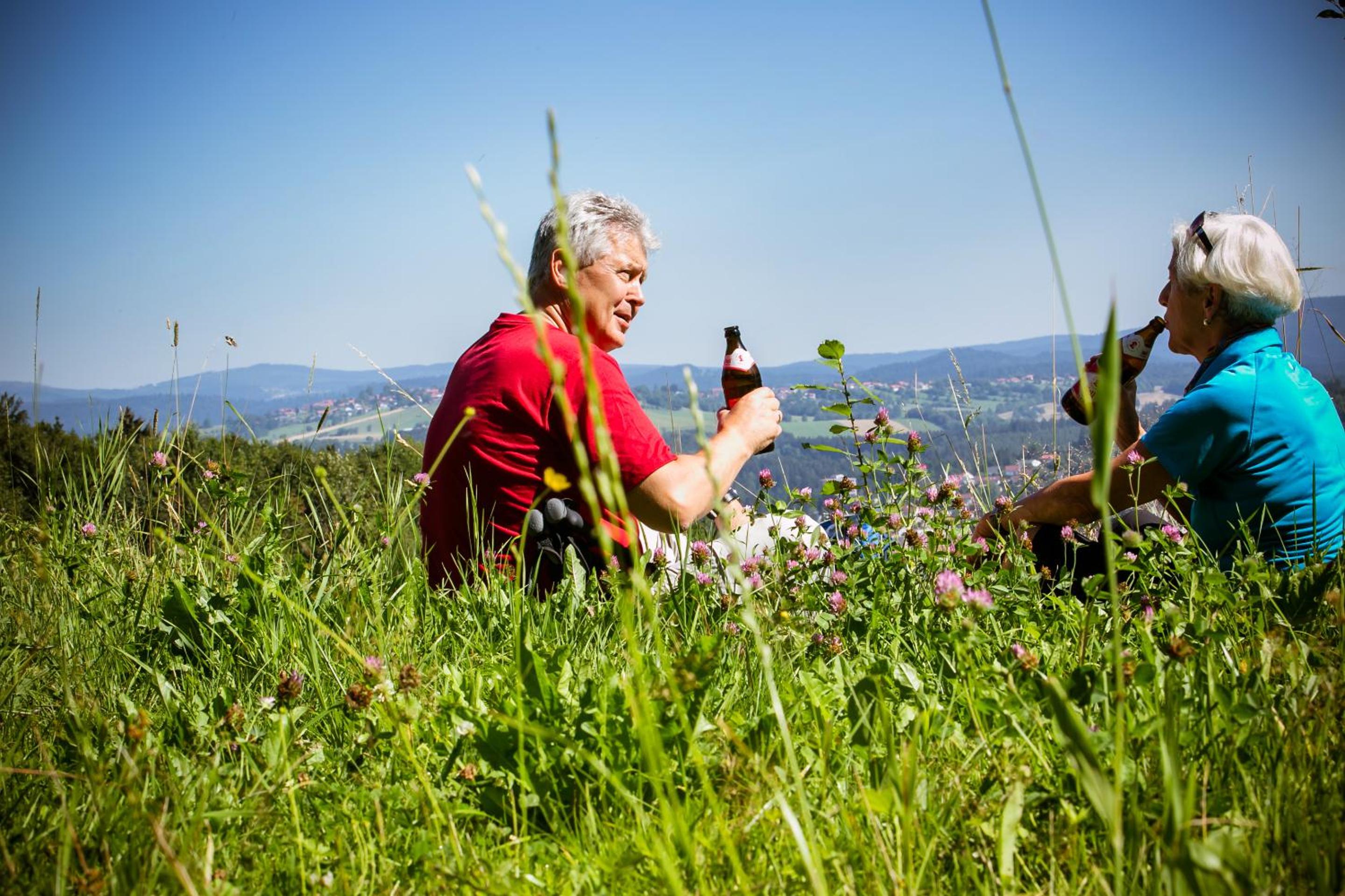 Ferienpark Geyersberg inklusive aktivCARD Bayerischer Wald