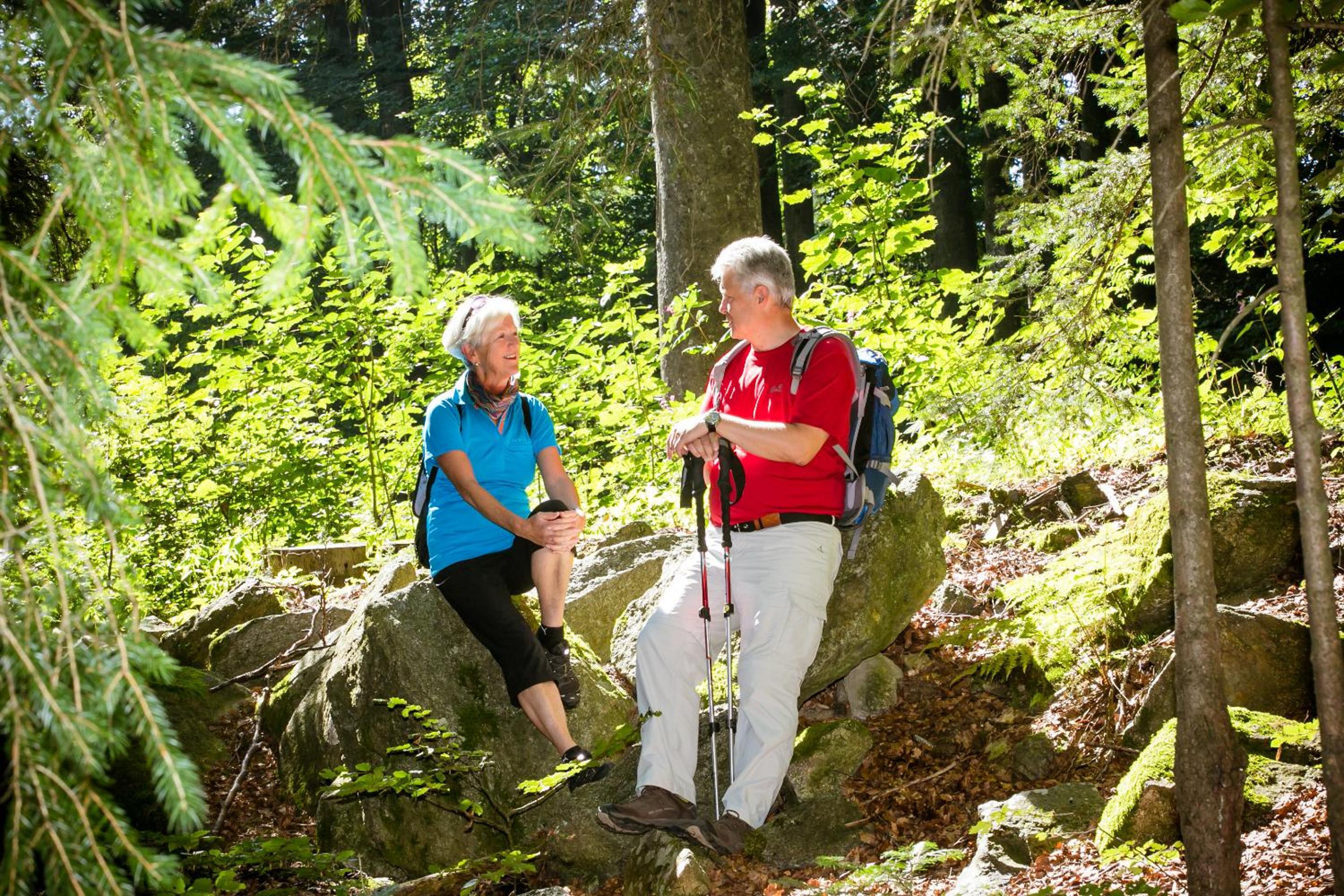 Ferienpark Geyersberg inklusive aktivCARD Bayerischer Wald