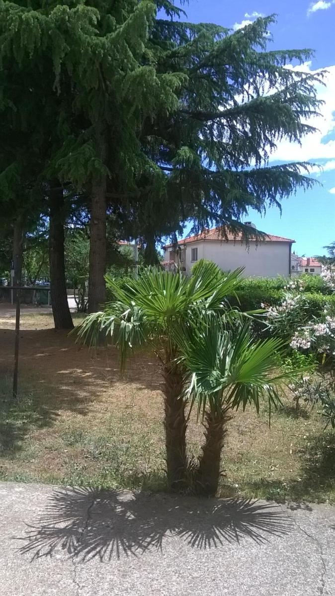 Photo 28