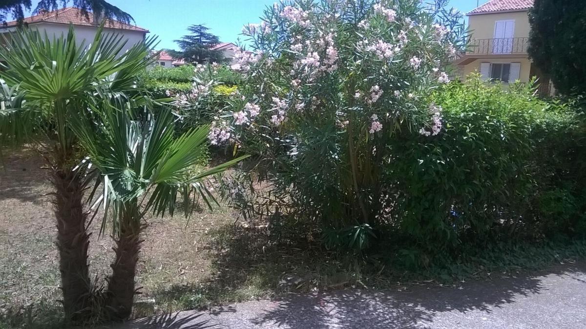 Photo 33