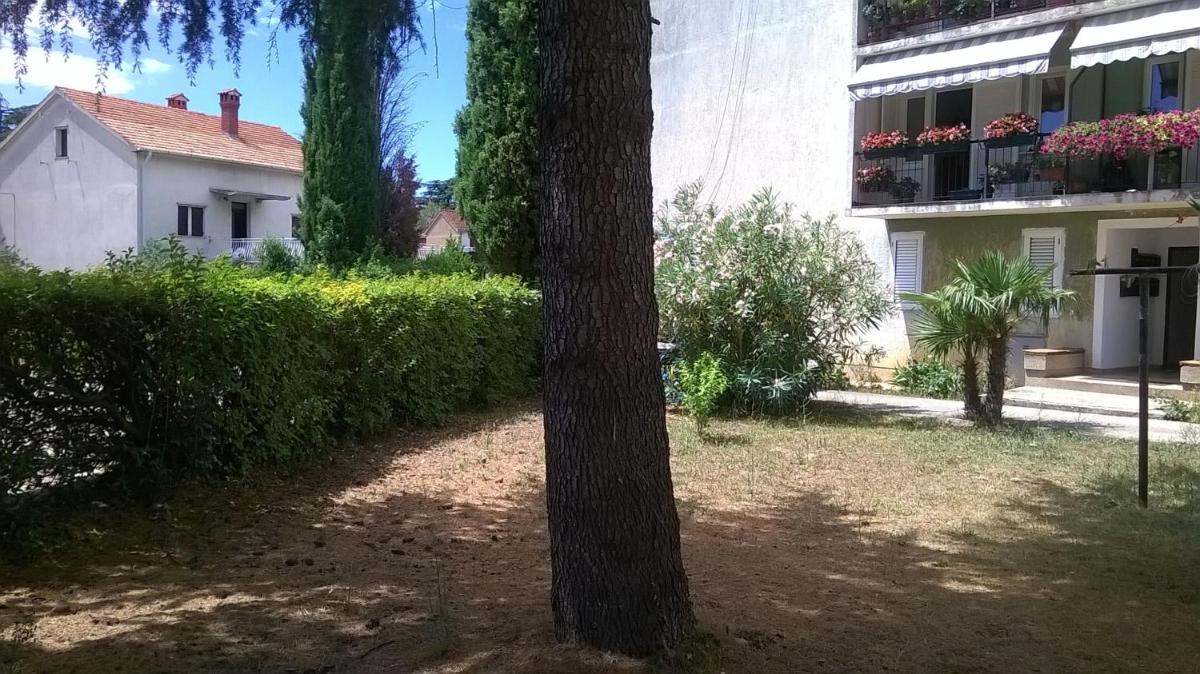 Photo 31