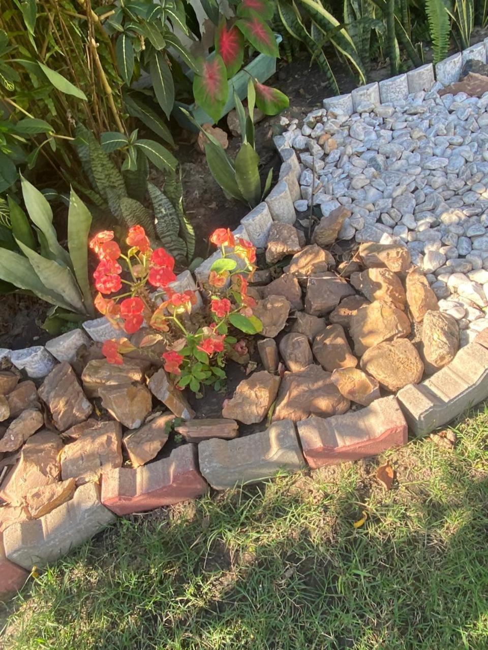 Photo 13