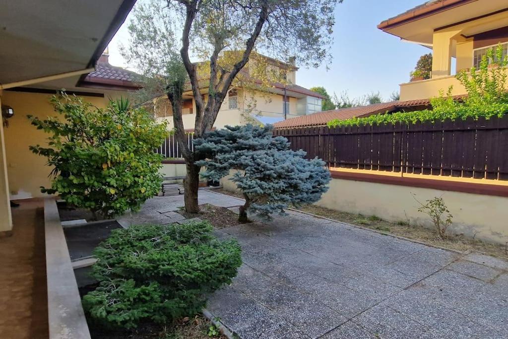 Villa delle Rose 2 livelli Colleverde II view 4
