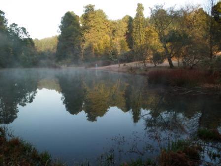 Cheerio Trout Fishing & Holiday Resort