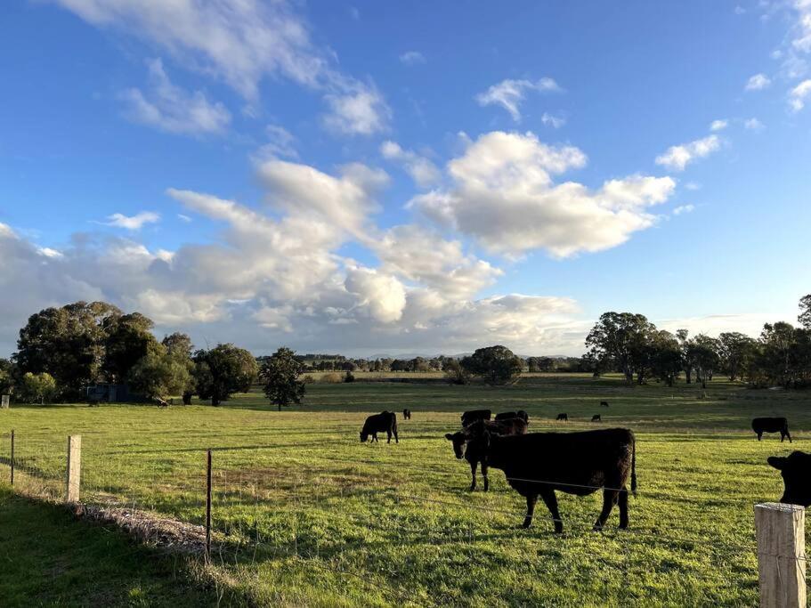 Willowmavin Farm Stay - Molyullah