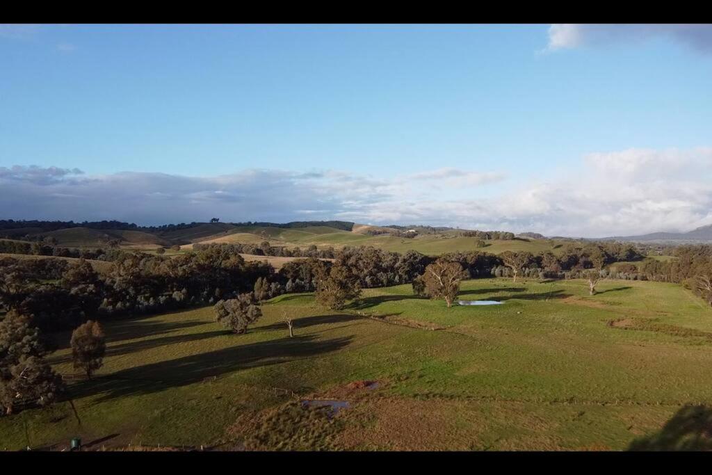 Willowmavin Farm Stay - Molyullah