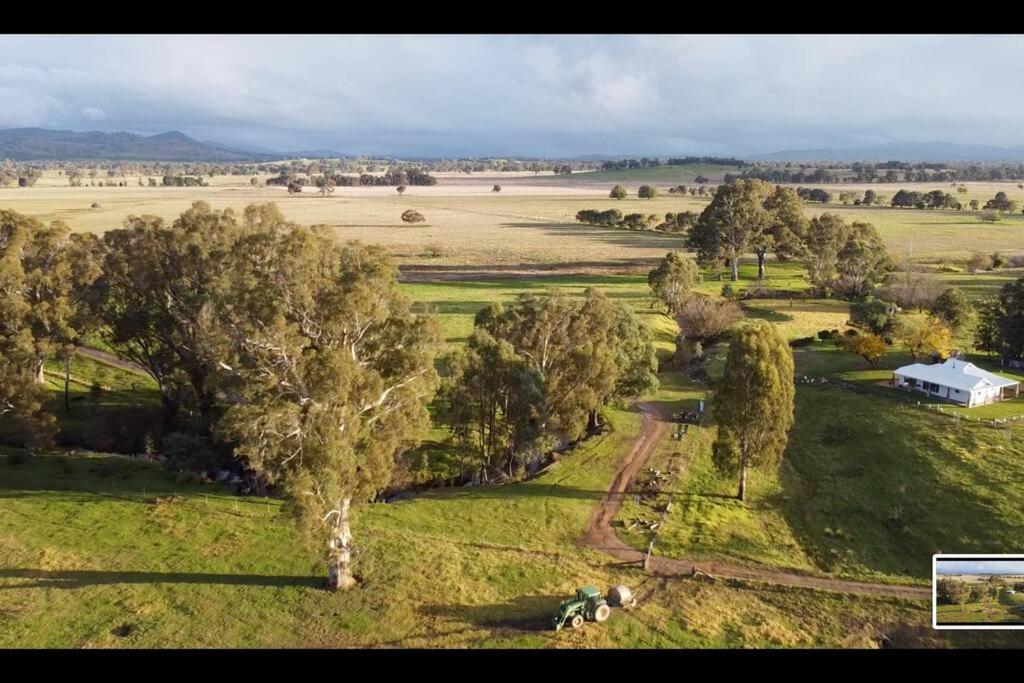 Willowmavin Farm Stay - Molyullah
