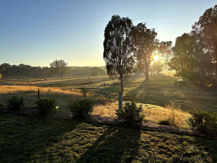 Willowmavin Farm Stay - Molyullah