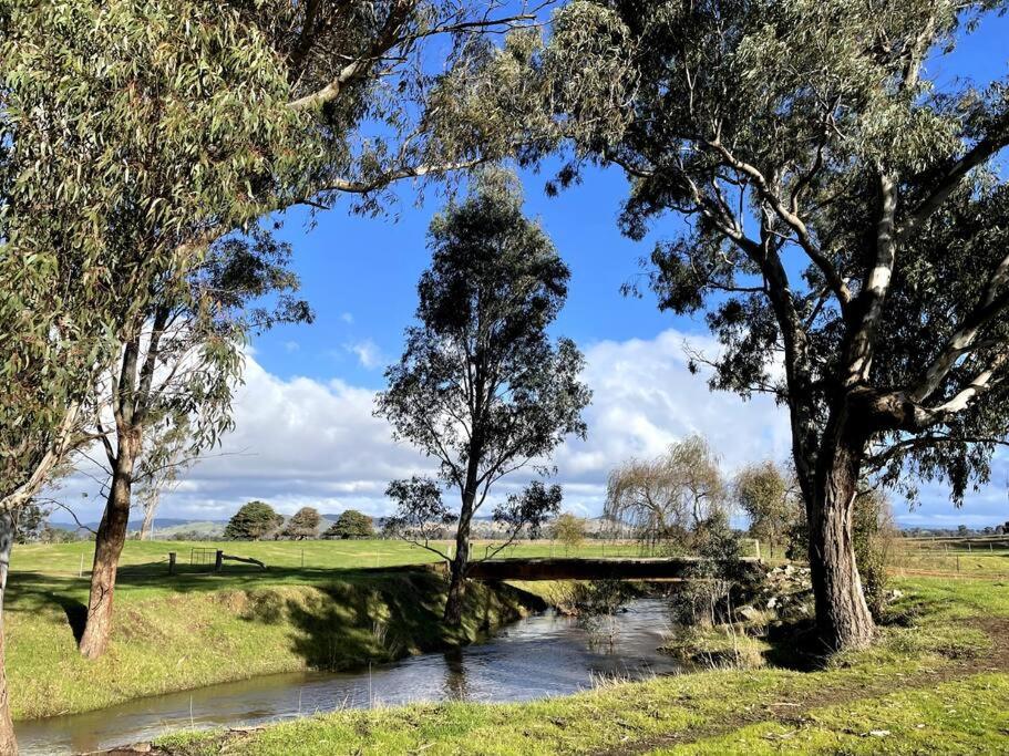 Willowmavin Farm Stay - Molyullah