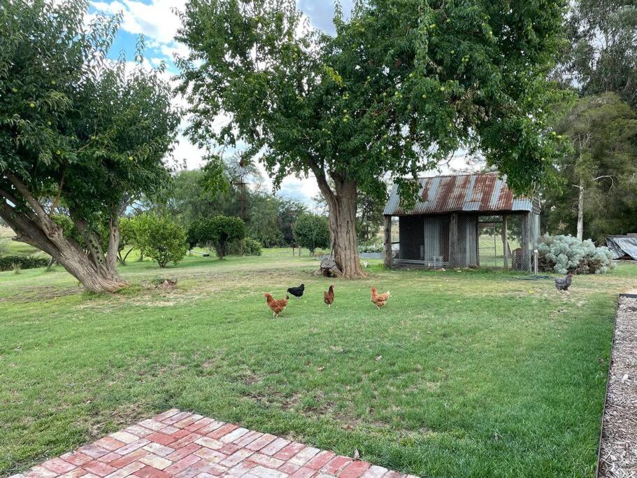 Willowmavin Farm Stay - Molyullah