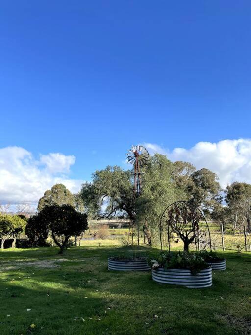 Willowmavin Farm Stay - Molyullah