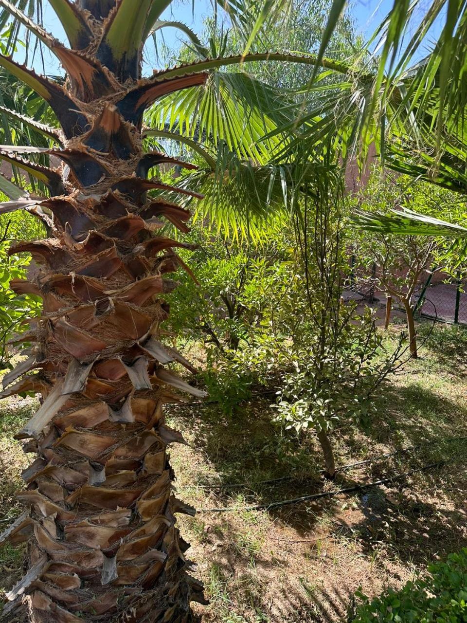 other