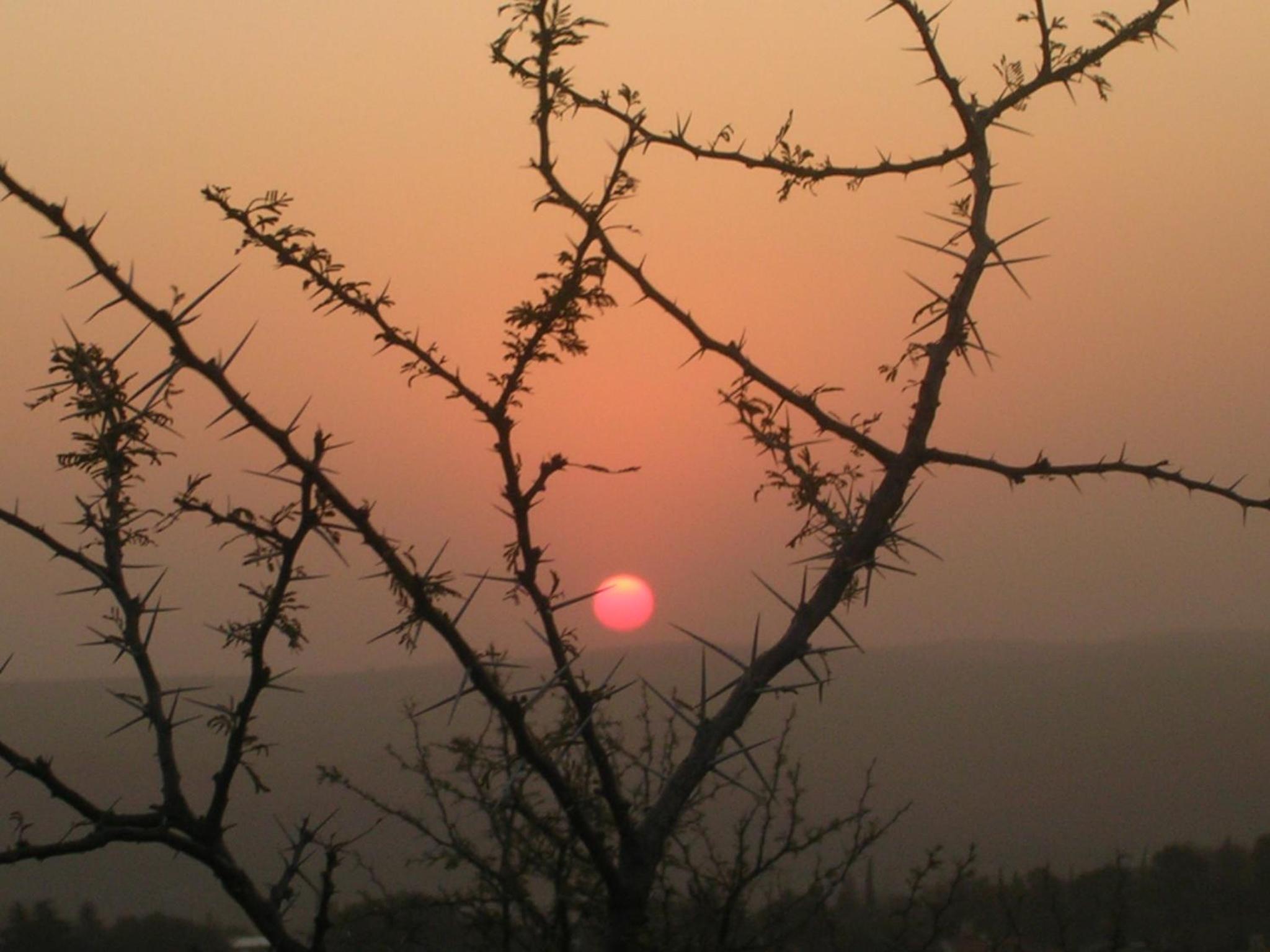La Casa Redonda