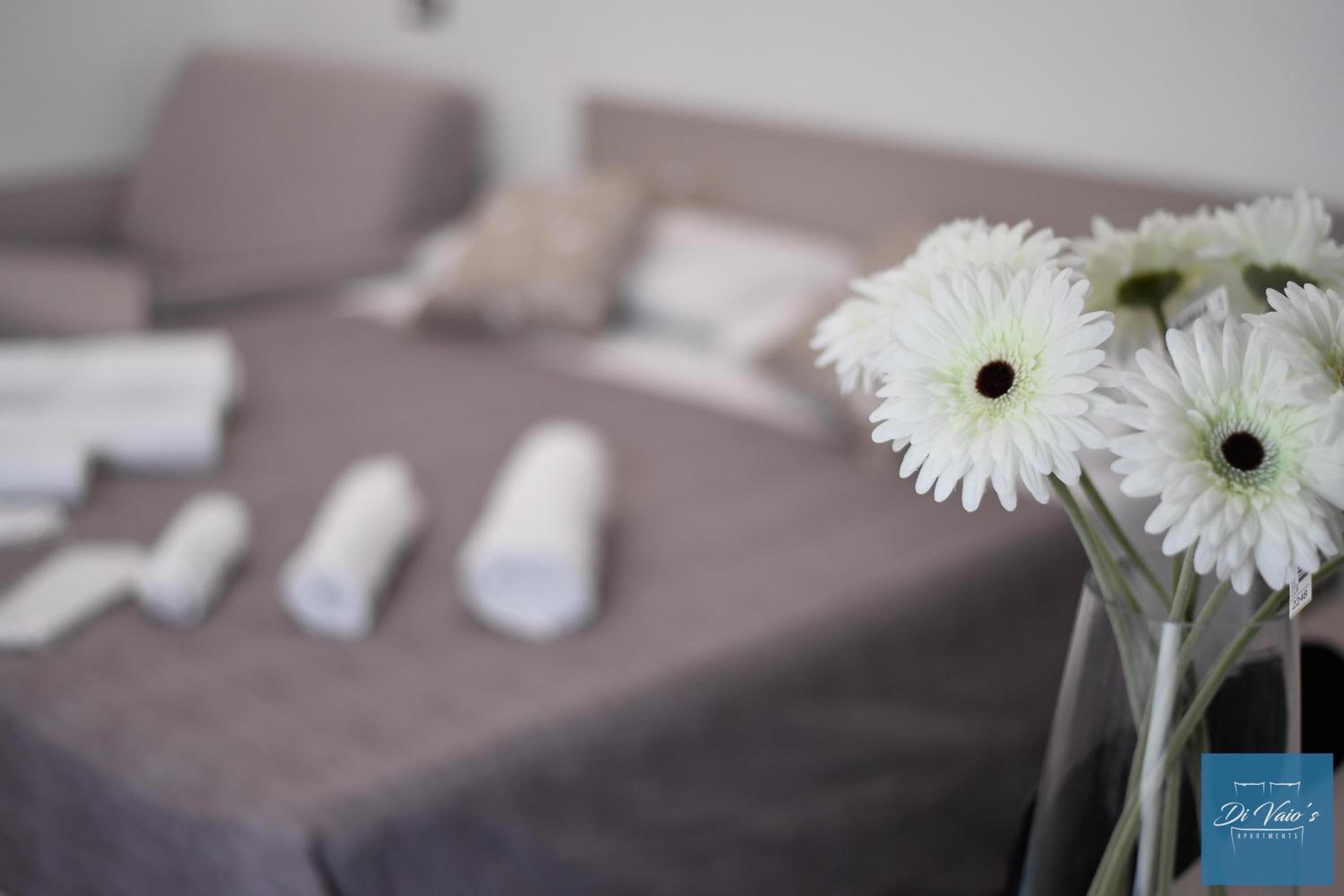 Di Vaio s Apartments adiacente metro Rione Alto