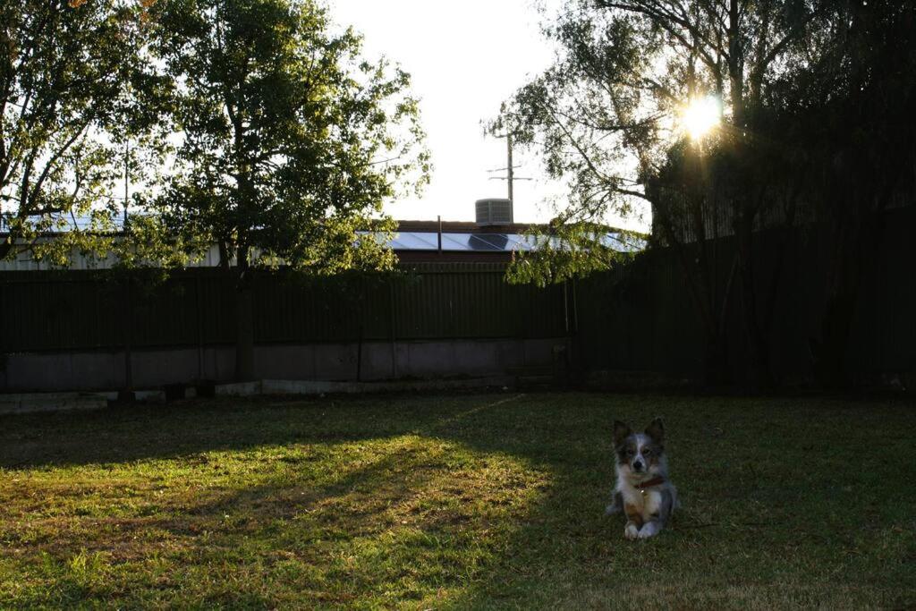 Gum Lodge, Gateway to the Murray