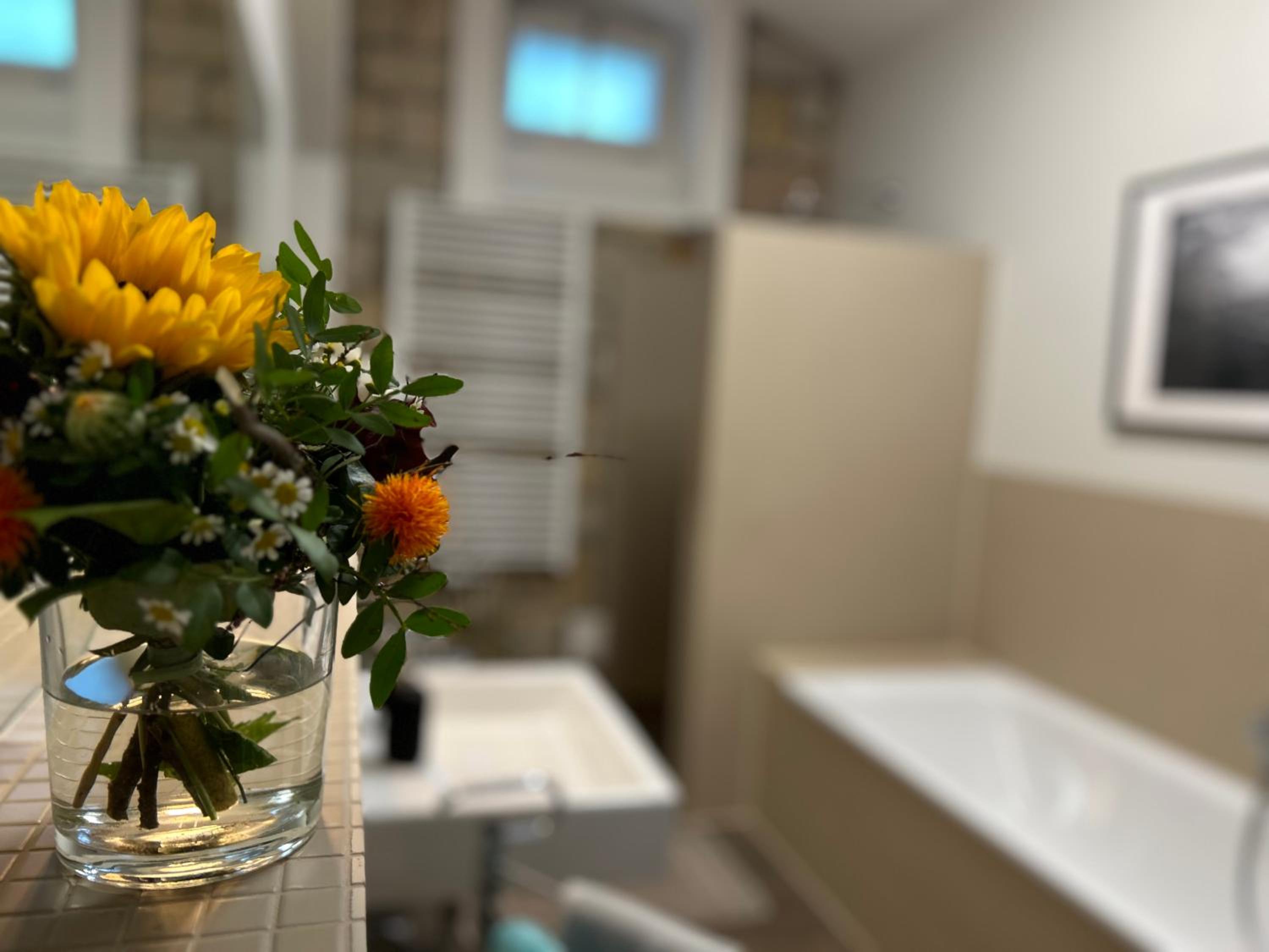 Schlosspark Apartment I 80qm I 3 Betten I bei Dresden