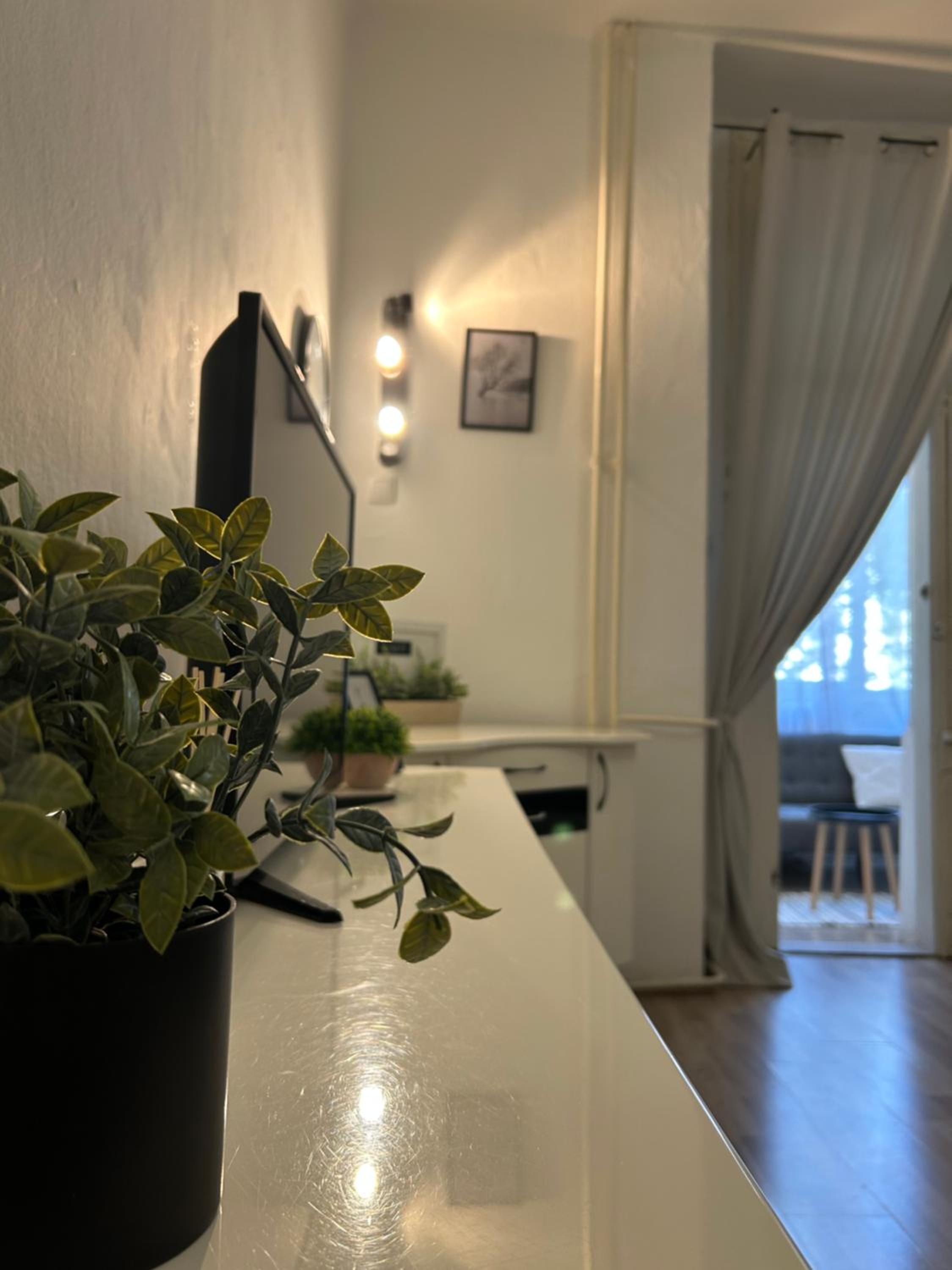 Central Park Apartment view 4