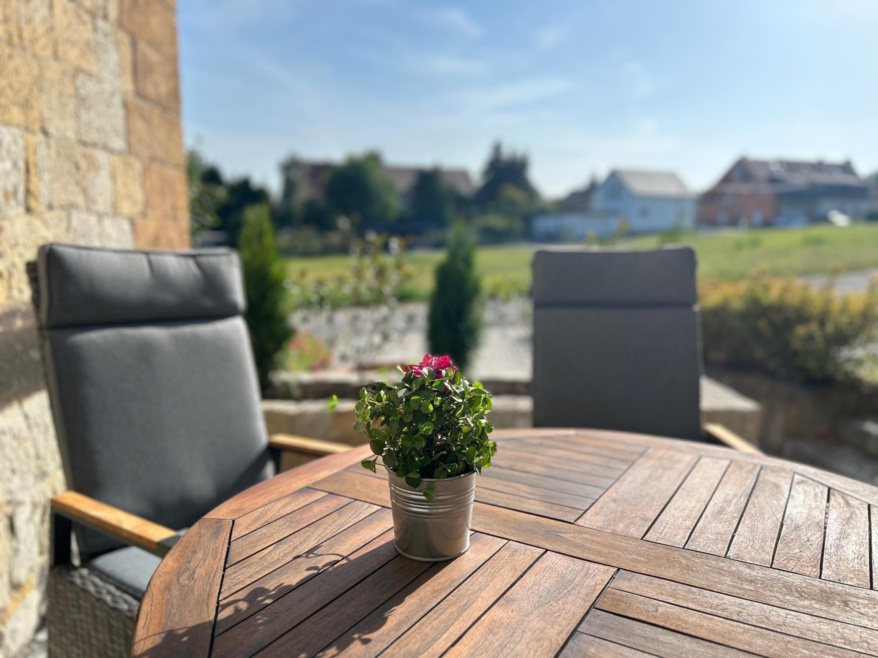 Schlosspark Apartment I 80qm I 3 Betten I bei Dresden
