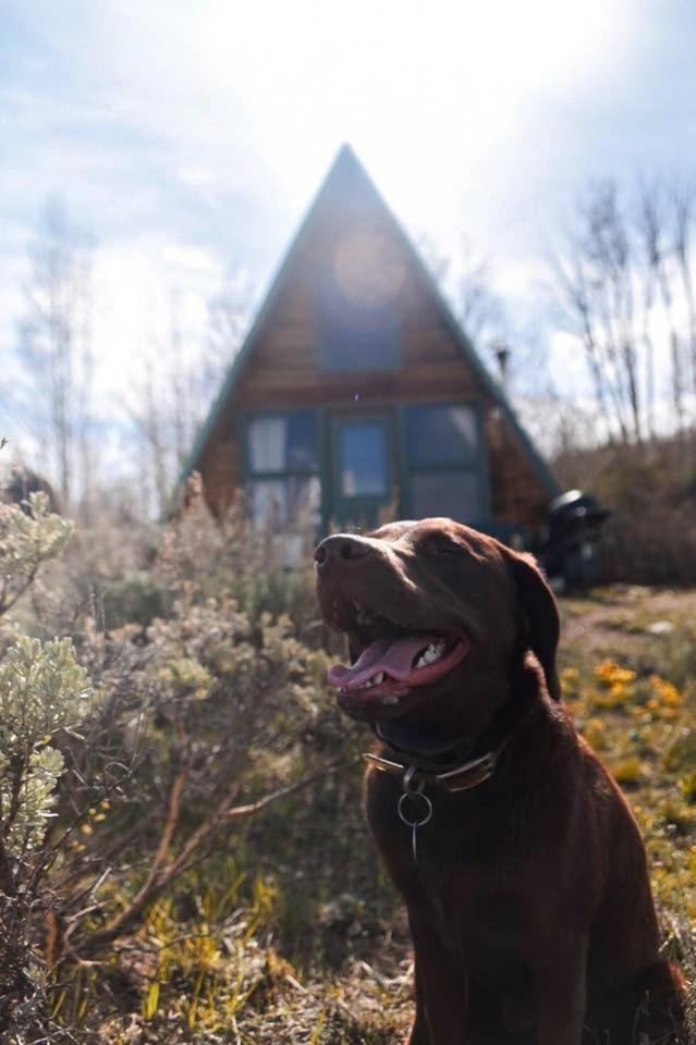Moose Haven Cabin at 22 West Cabins and Recreation view 4