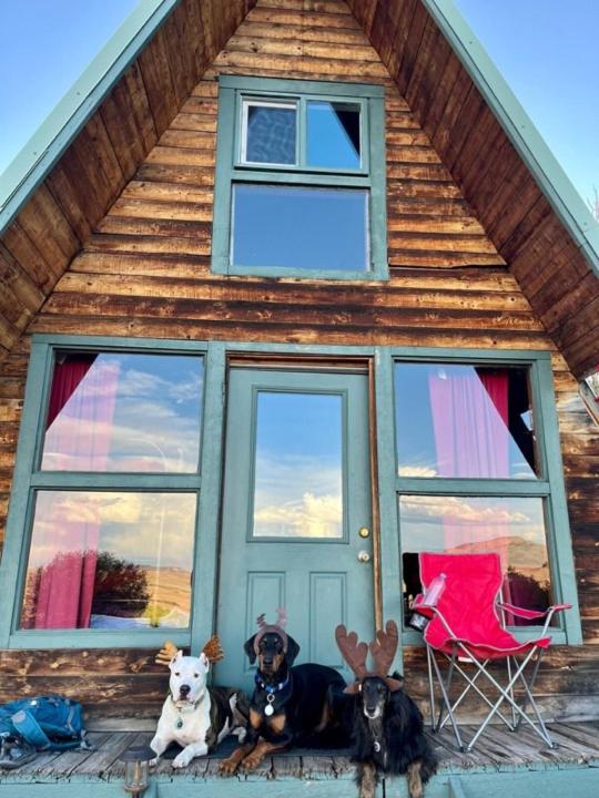 Moose Haven Cabin at 22 West Cabins and Recreation view 5