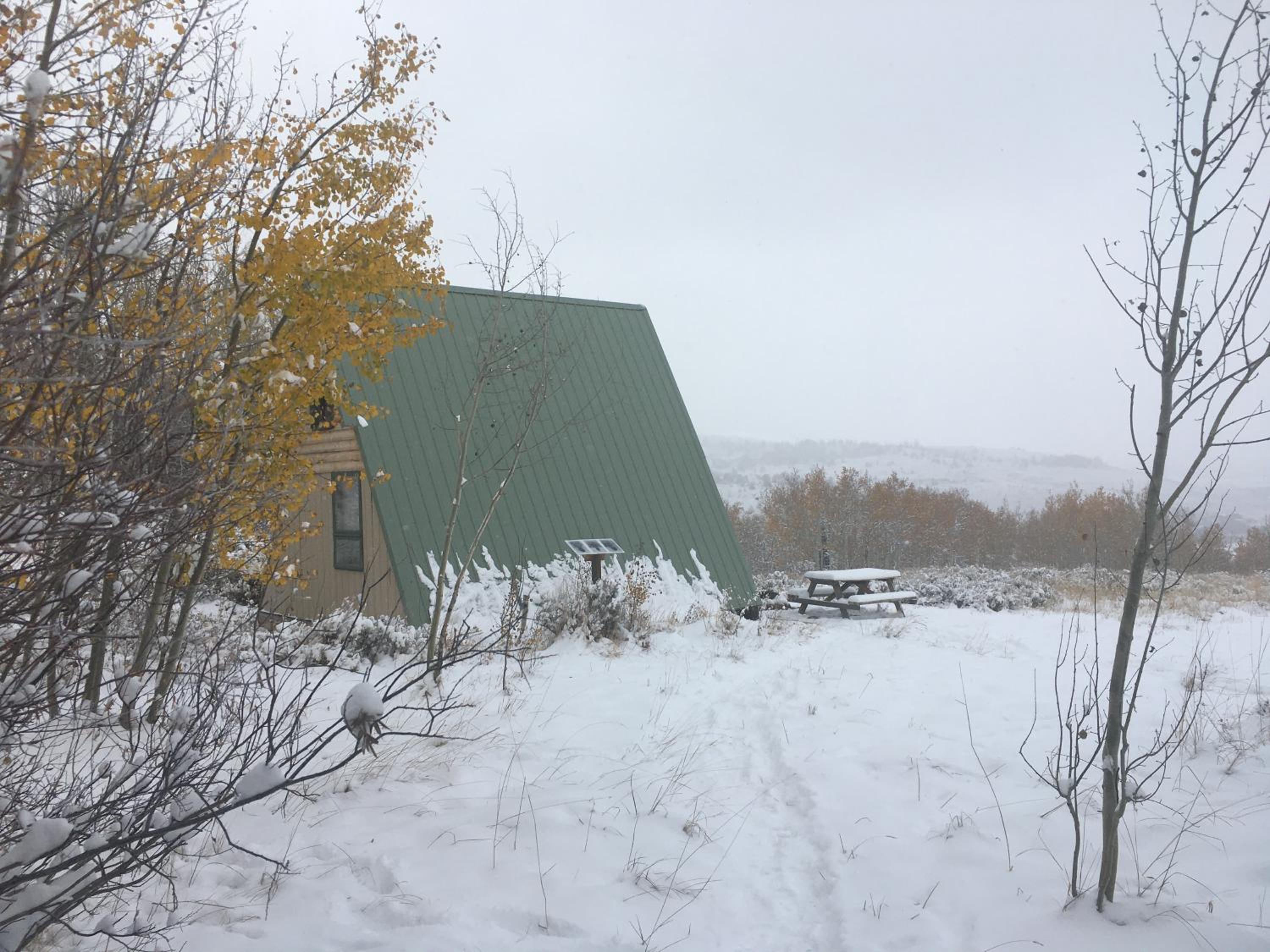 Photo 45