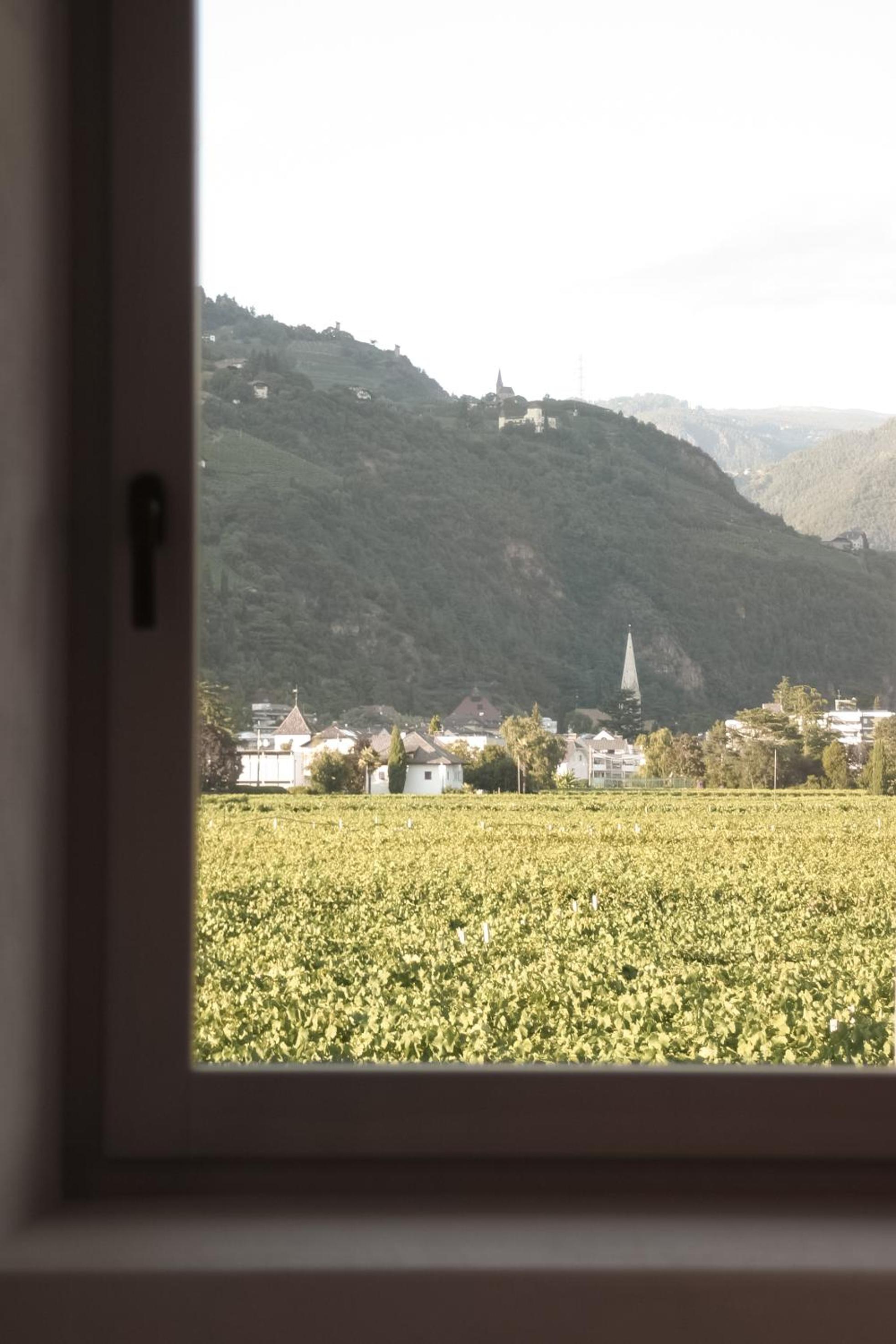 Kaiserau-Höfl view 5