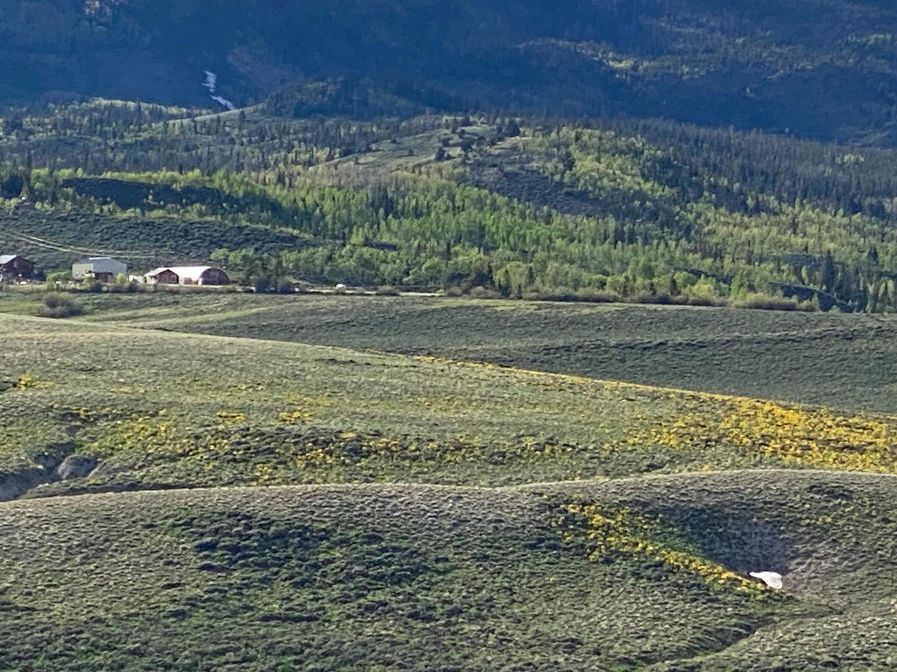 Whistle Pig Retreat at 22 West Cabins and Recreation view 3