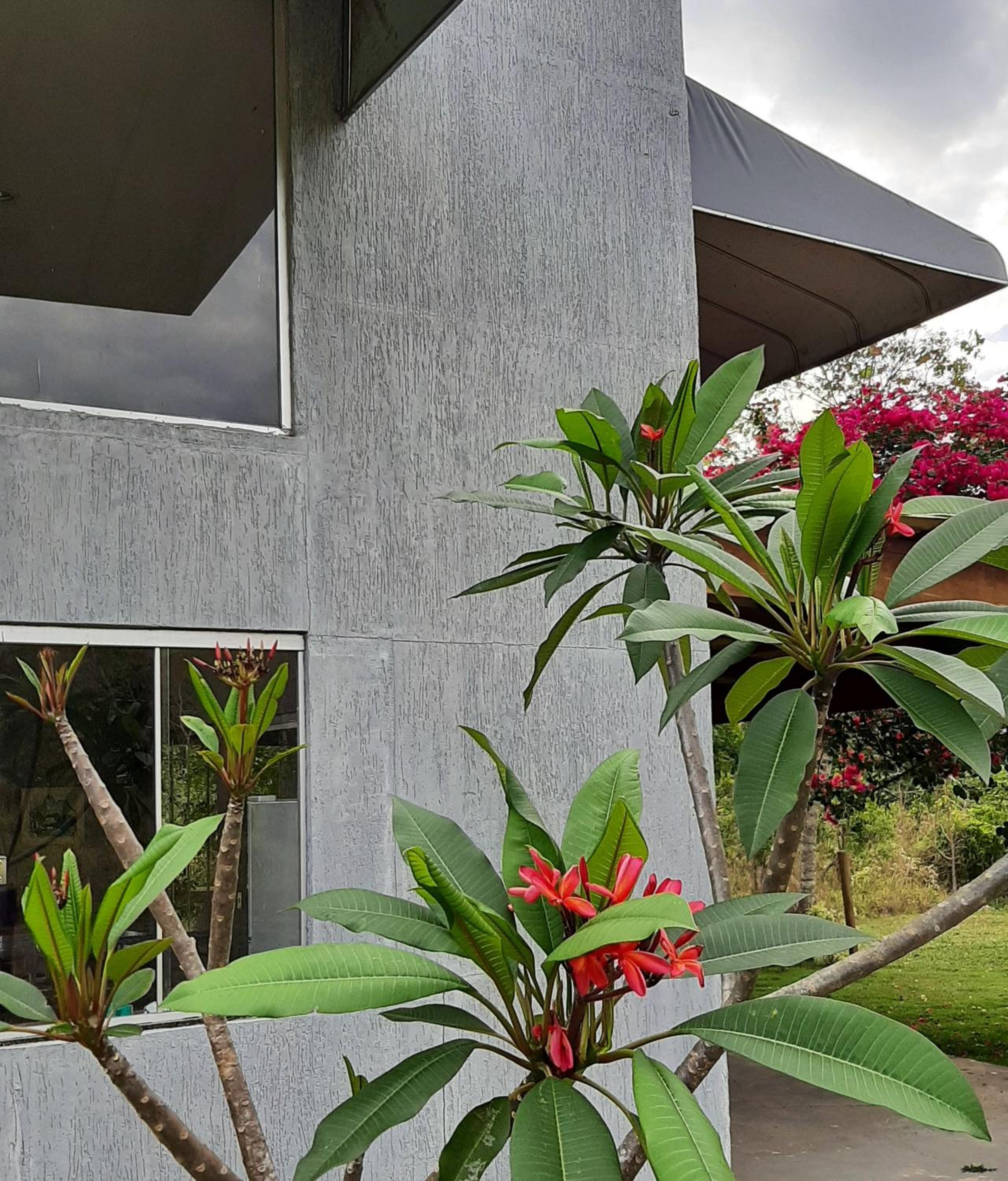 Reserva Jasmim Casa de Campo