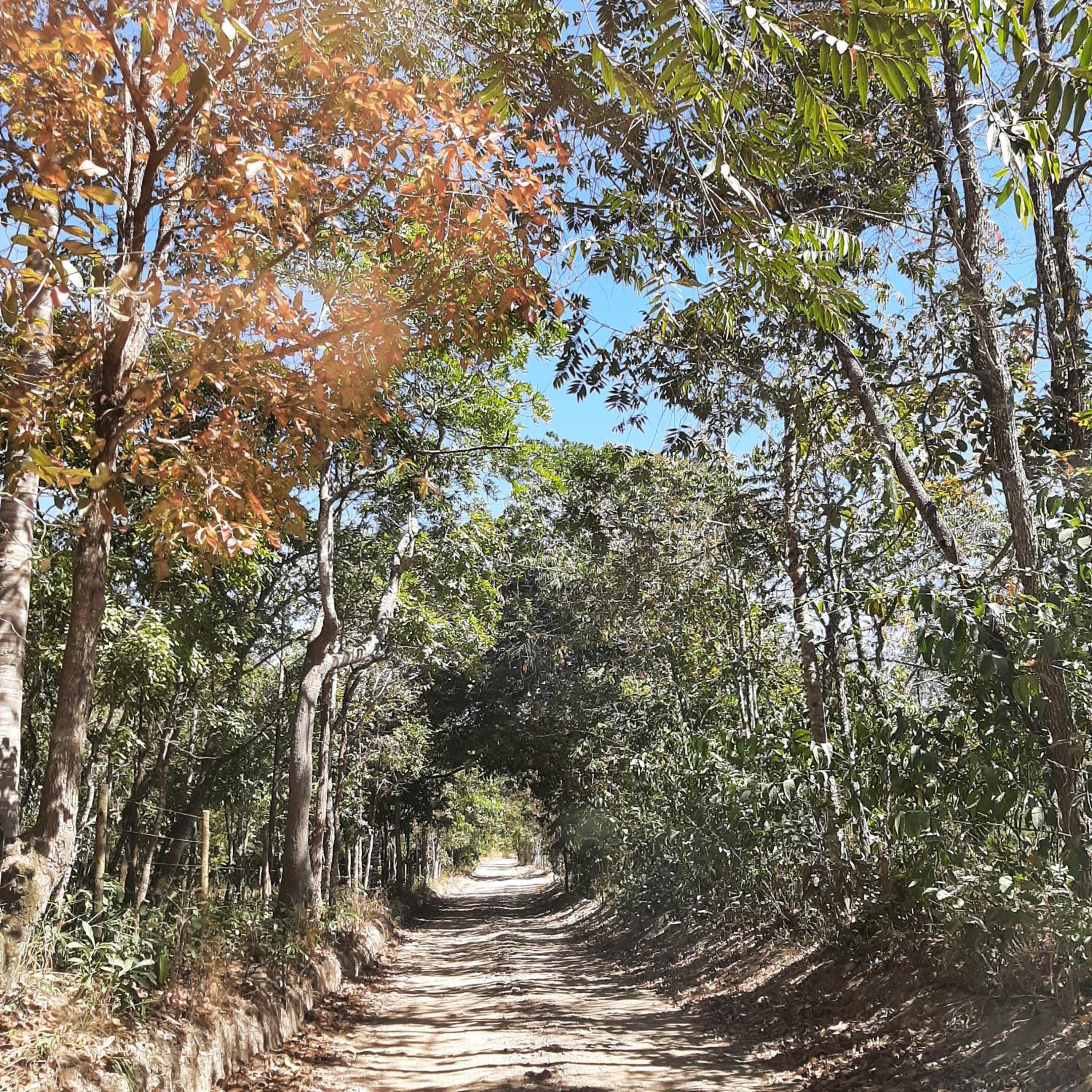 Reserva Jasmim Casa de Campo