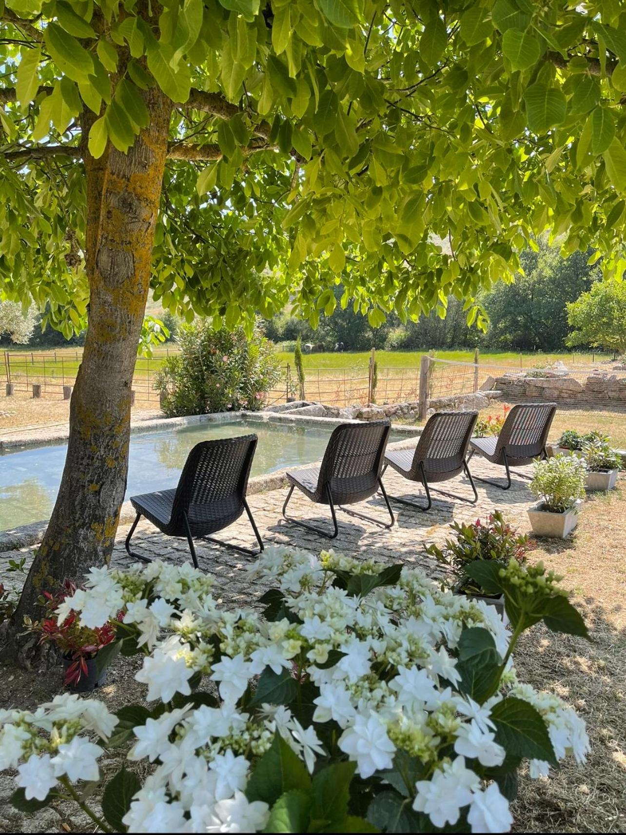 Quinta Vale da Prata view 5