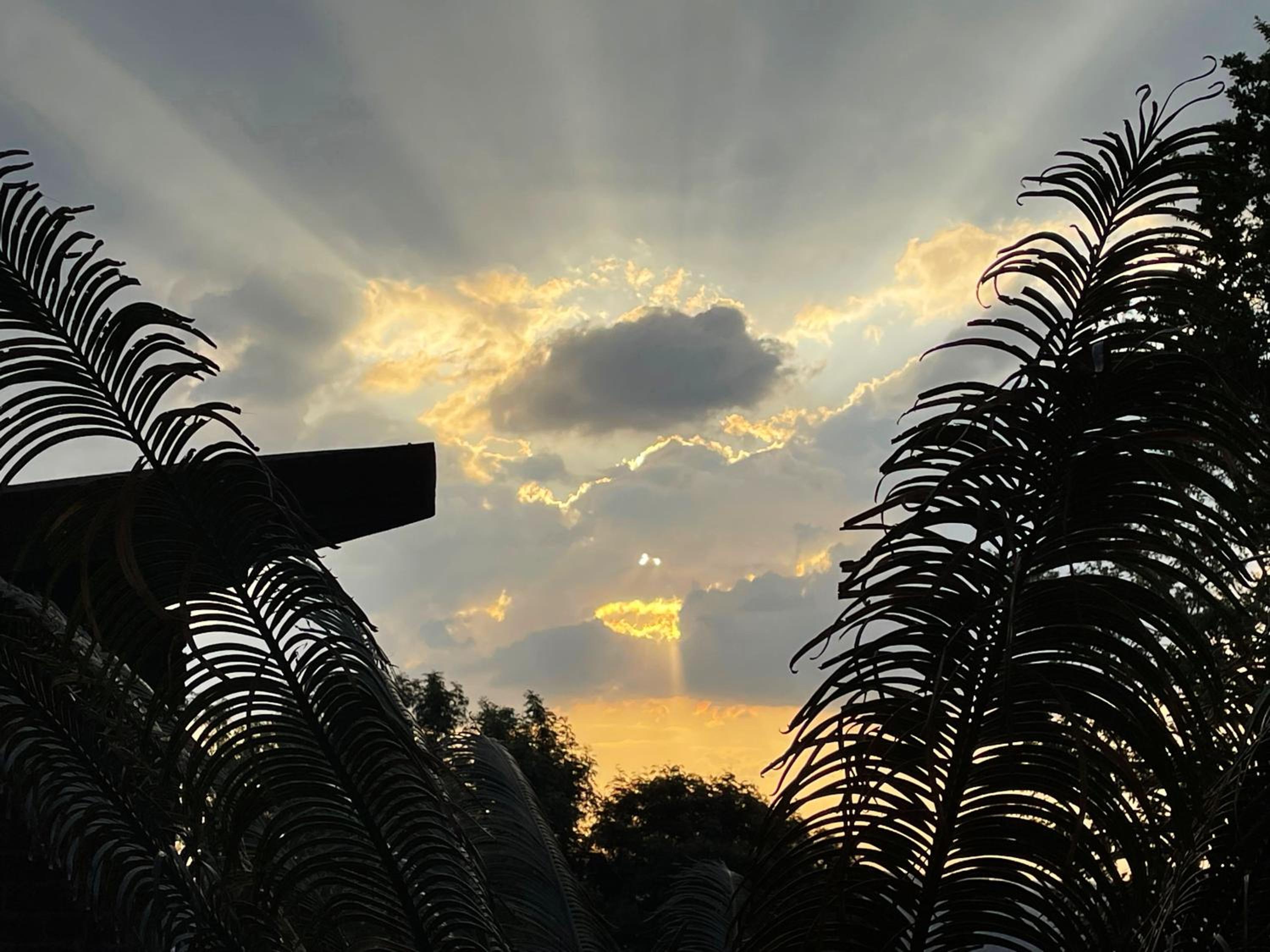 Luxury Boutique Nature Stay! Northcliff - Sunset Views, Solar, Work, Pool