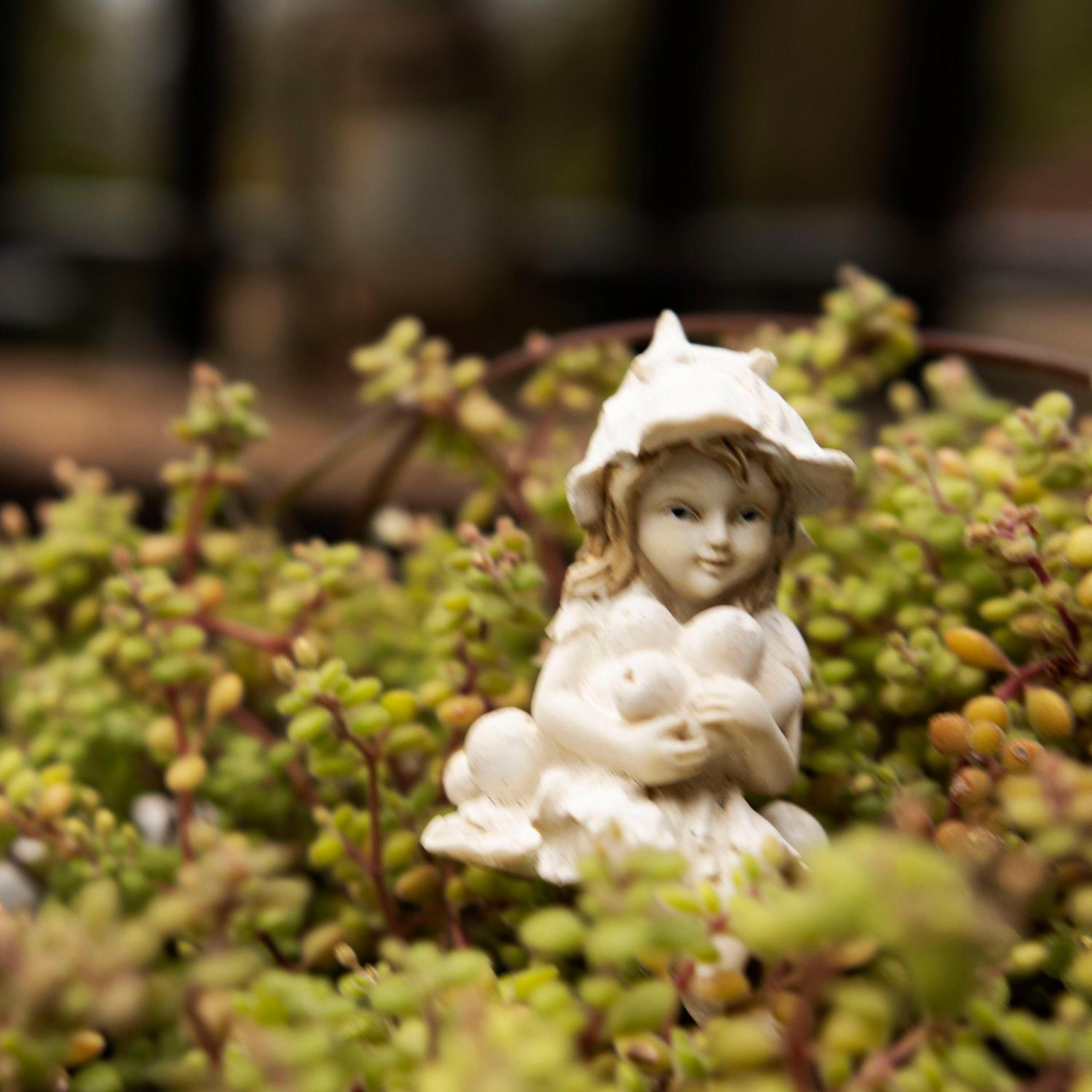 Luxury Boutique Nature Stay! Northcliff - Sunset Views, Solar, Work, Pool