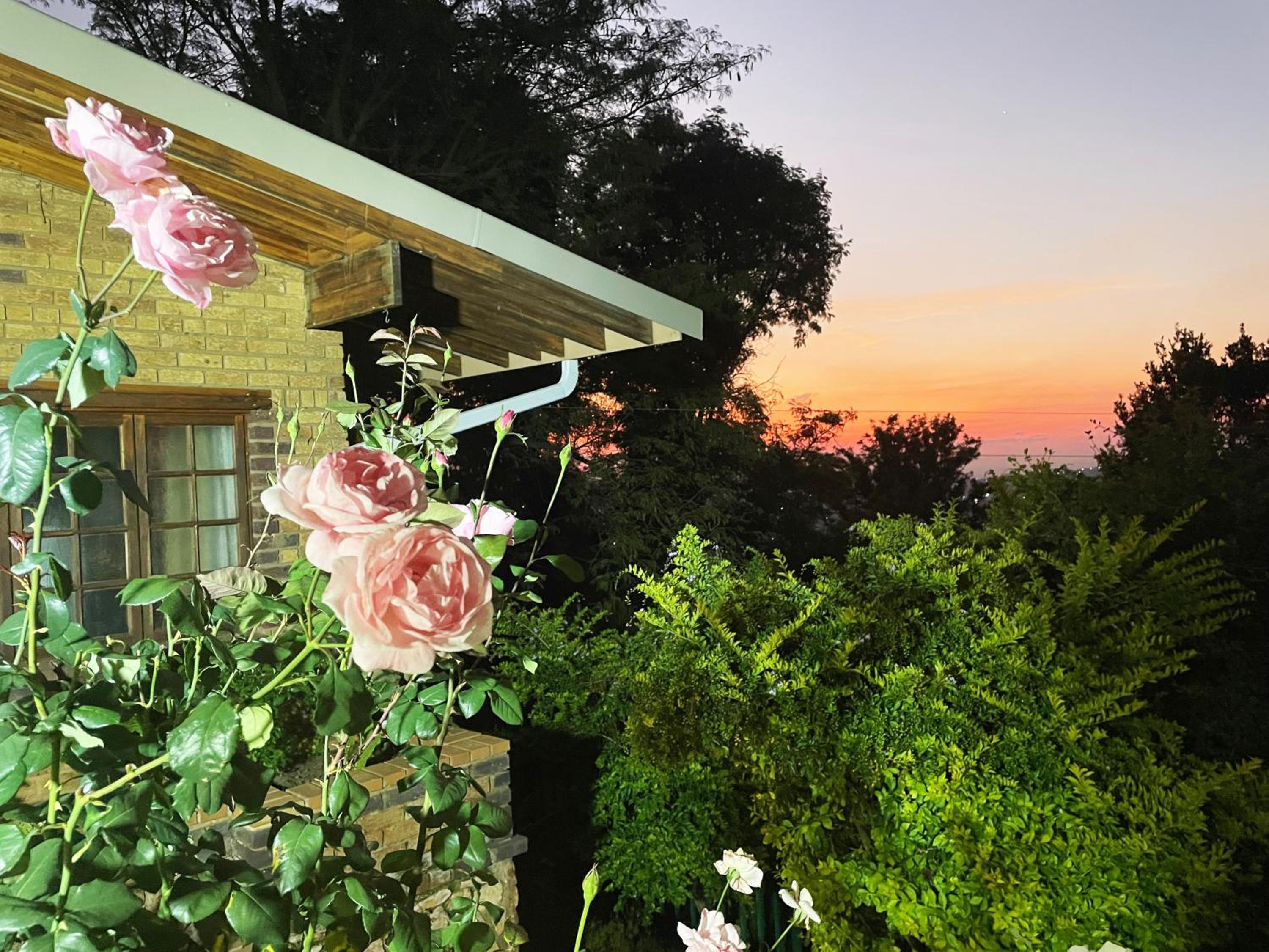 Luxury Boutique Nature Stay! Northcliff - Sunset Views, Solar, Work, Pool