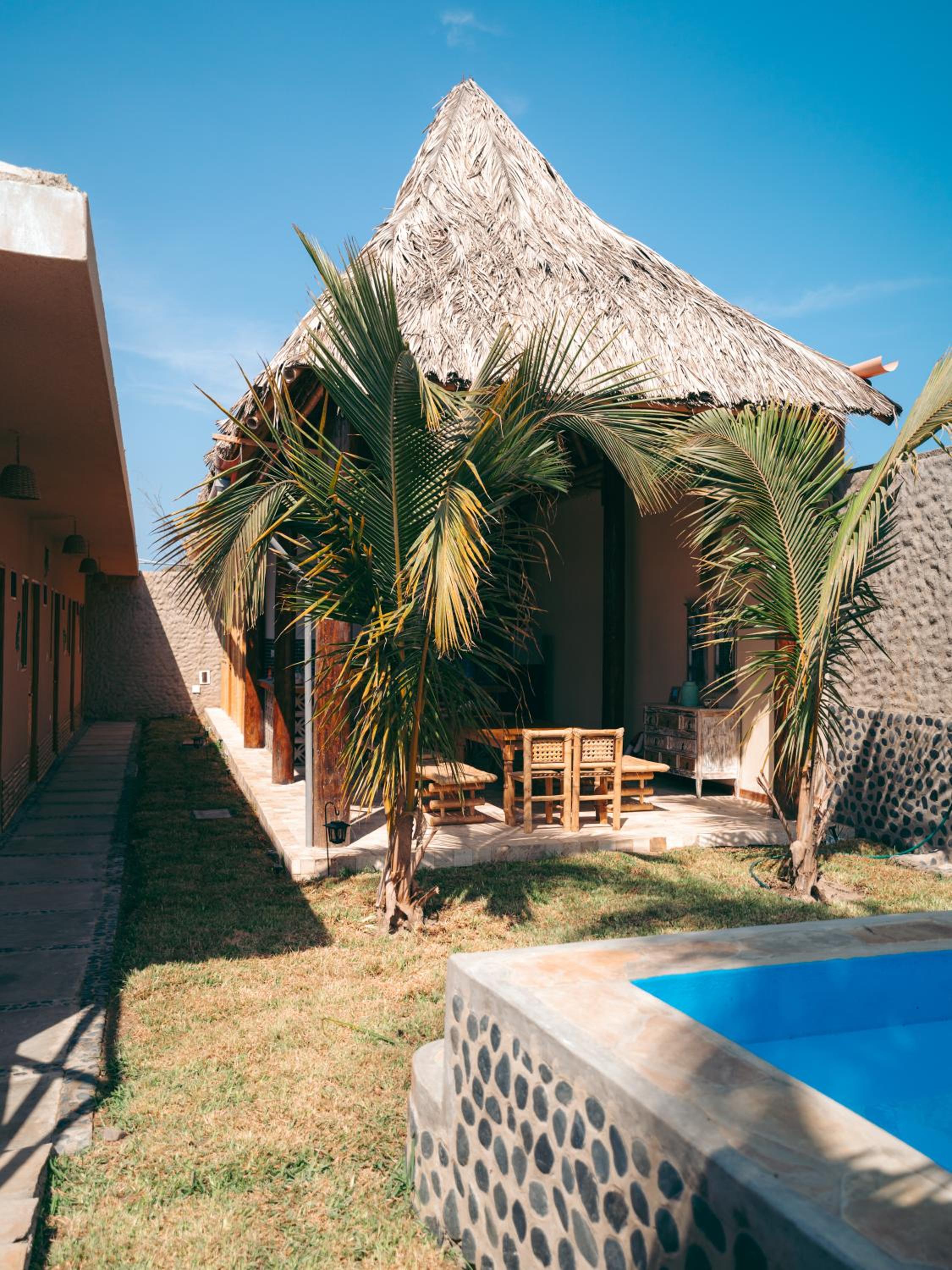IGUANA HOUSE view 4
