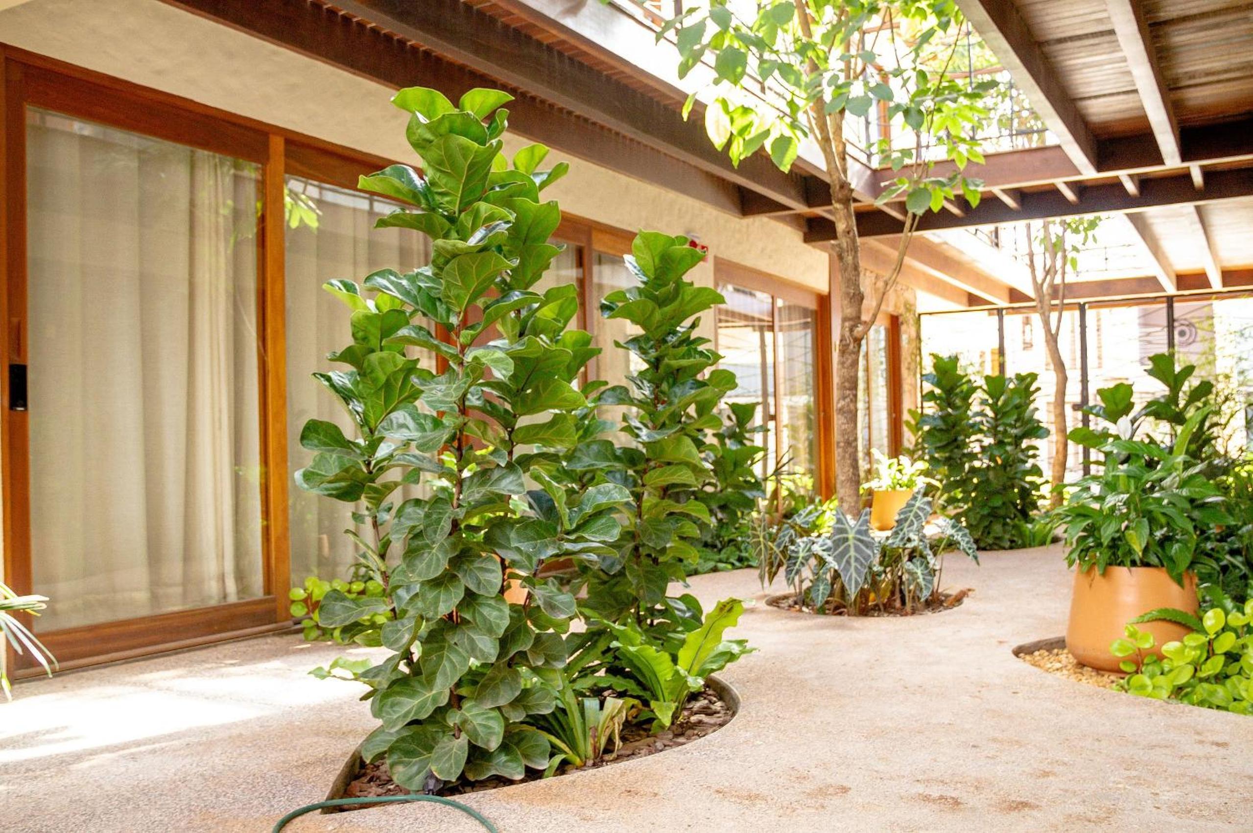 Villa Andorinha - Und 08 - Novo e Aconchegante no Centro de Mucugê