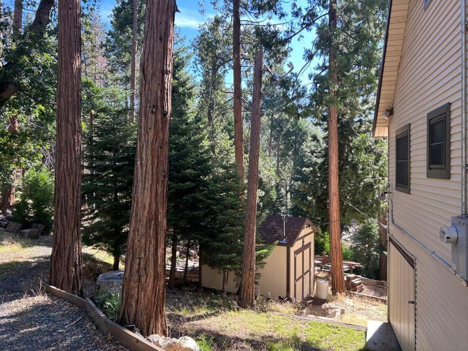 Sequoia National Forest CabinD